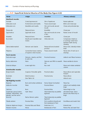 Anaphy Finals - Summary Anatomy and Physiology - DIGESTIVE SYSTEM What ...