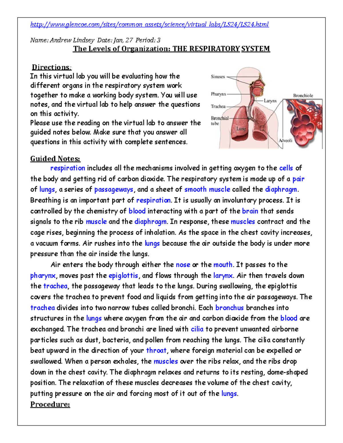 Levels of Organization Virtual Lab respiration Studocu