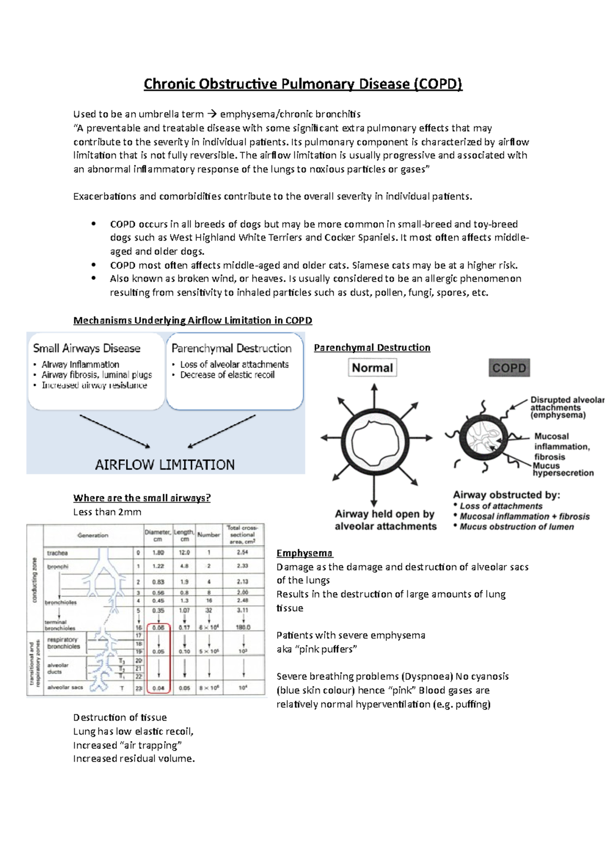Chronic Obstructure Pulmonary Disease - notes - Chronic Obstructive ...