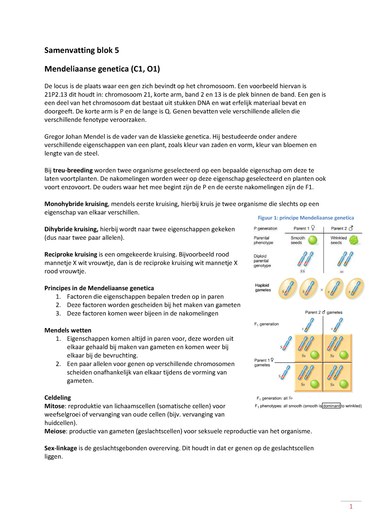 Uitgebreide Samenvatting Genes rules - Samenvatting blok 5 Mendeliaanse genetica (C1, O1) De locus