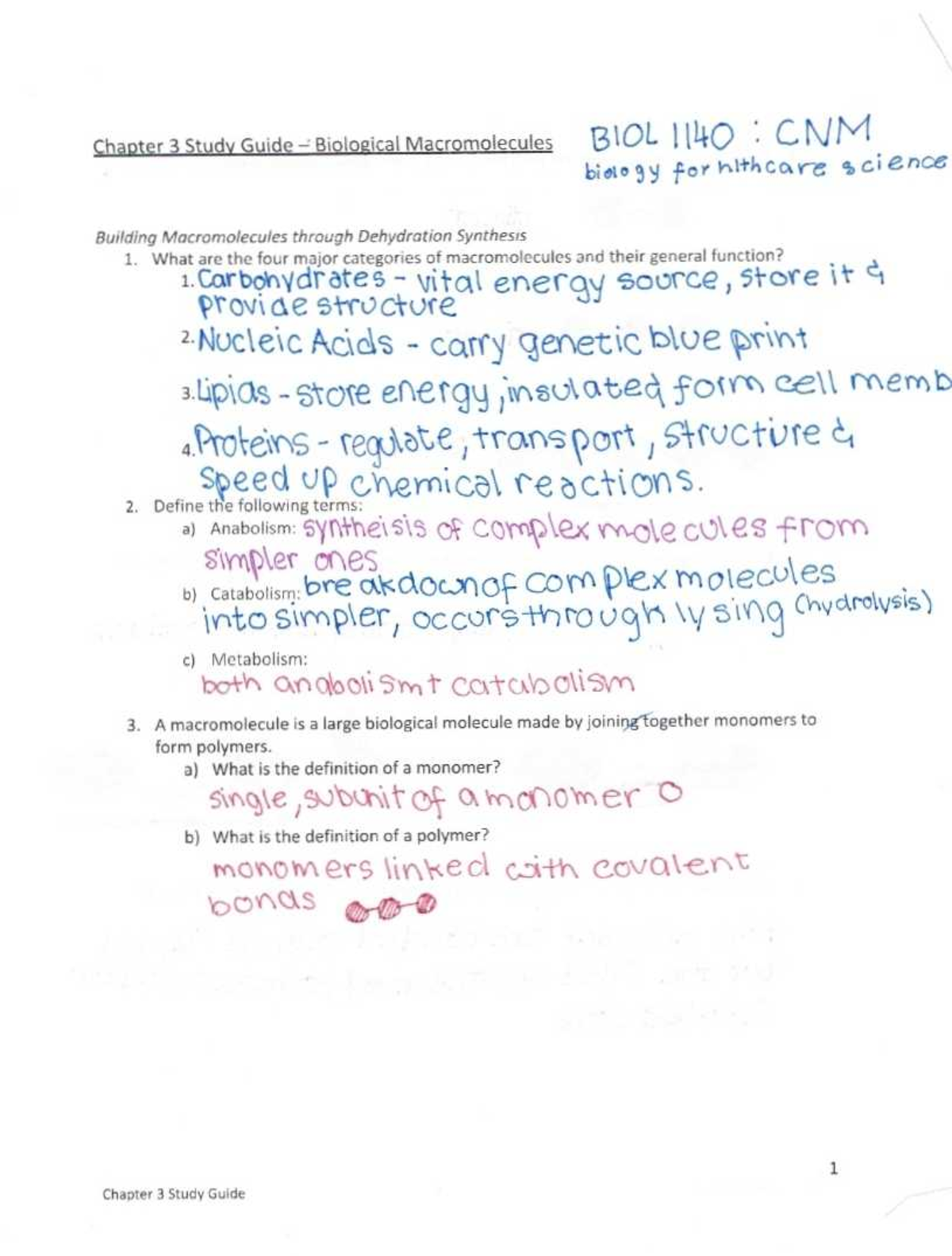 Macromolecules : Chapter 3 - BIO 1410 - Studocu