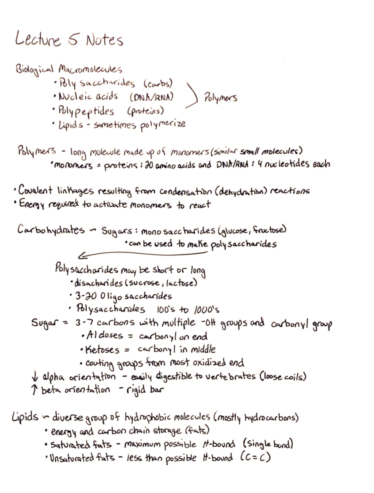 Lecture 5: Biological Macromolecules Notes - Lecture 5 Notes Biological ...