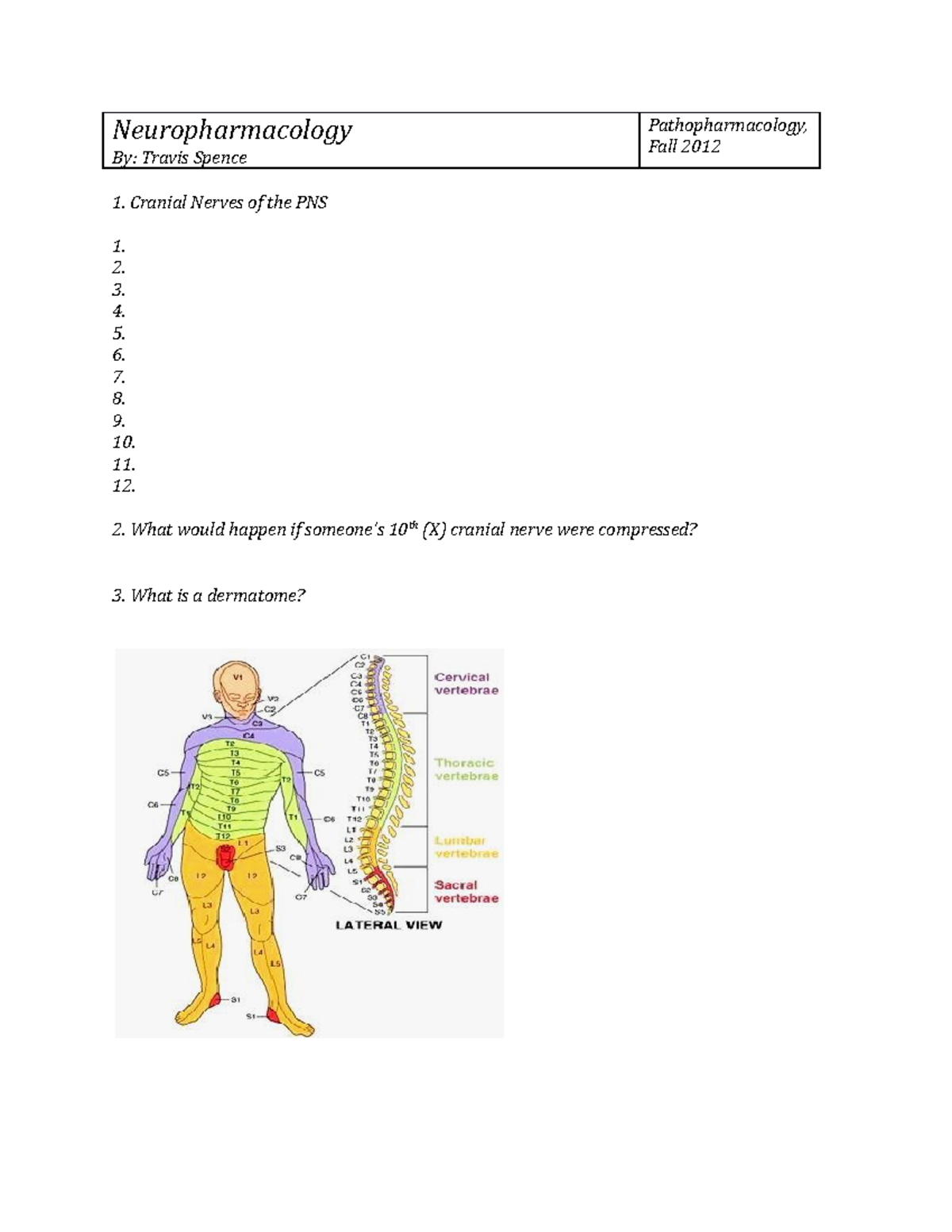 Neuropharm WS - Summary Pathopharmacology - Neuropharmacology : Travis ...