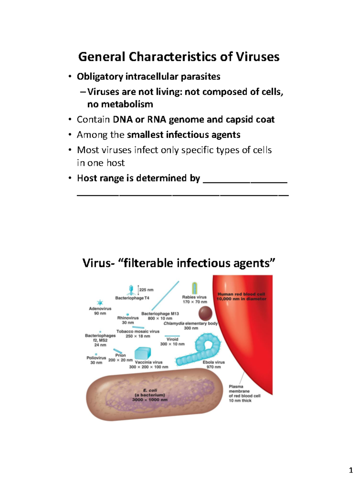 Virology Lecture notes - General Characteristics of Viruses ...