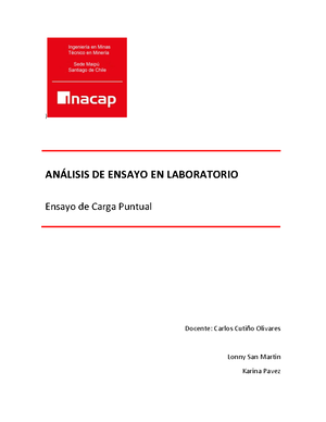 Informe Taller Minero Ii Offf Proyecto Minero La Campeona Caso N Informe Taller Minero Ii Offf Proyecto Minero La Campeona Caso N