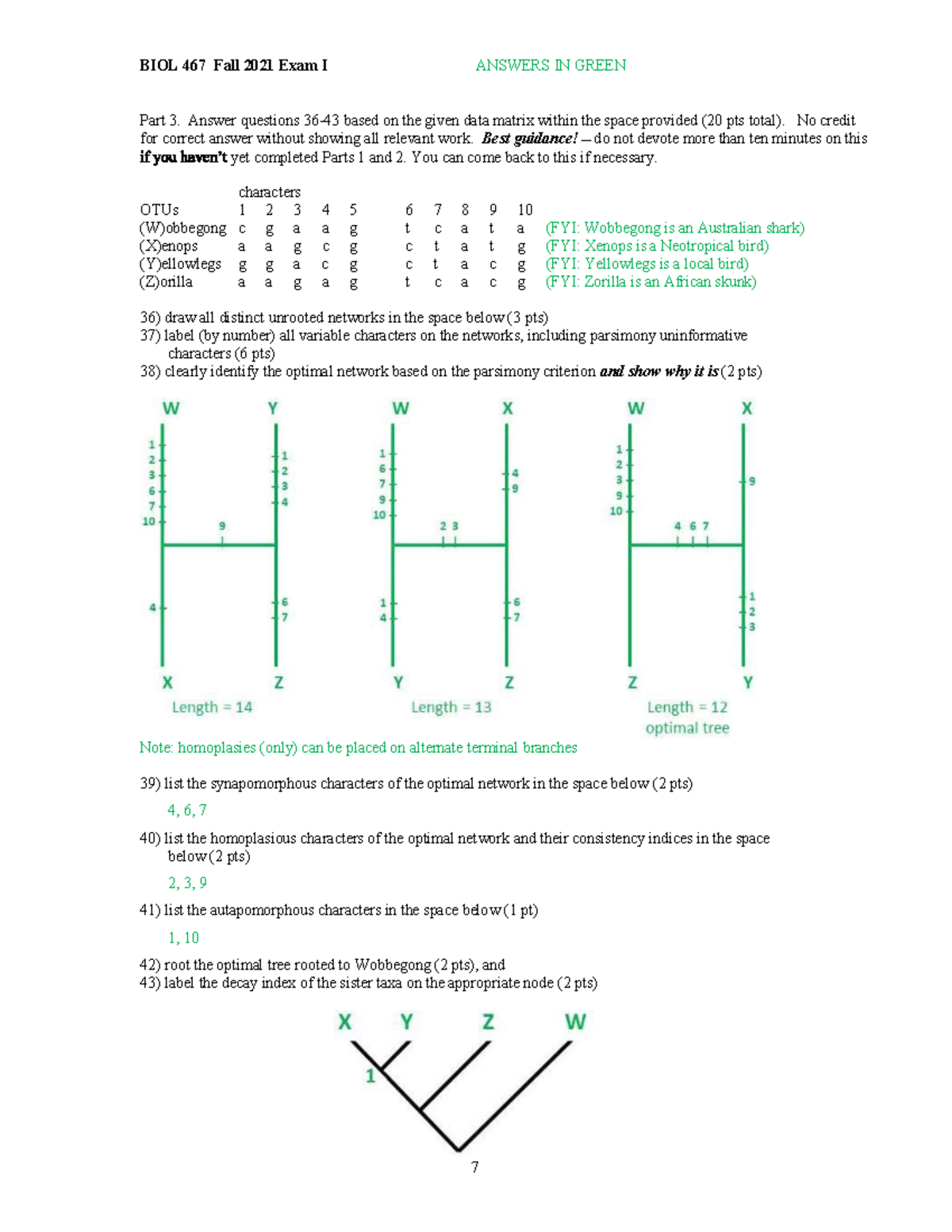 Evolution Exam 1 Pg7 - This Was The First Exam Of The Semester. - BIOL ...