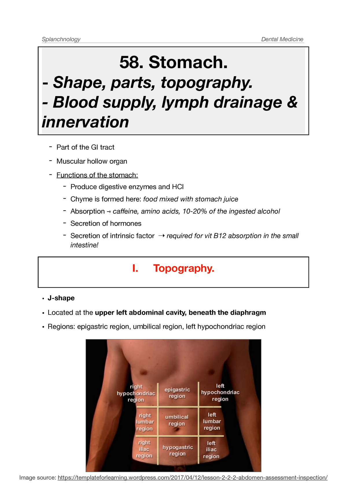 STOMACH - Topography, Histology, Blood Supply, Lymph Drainage ...