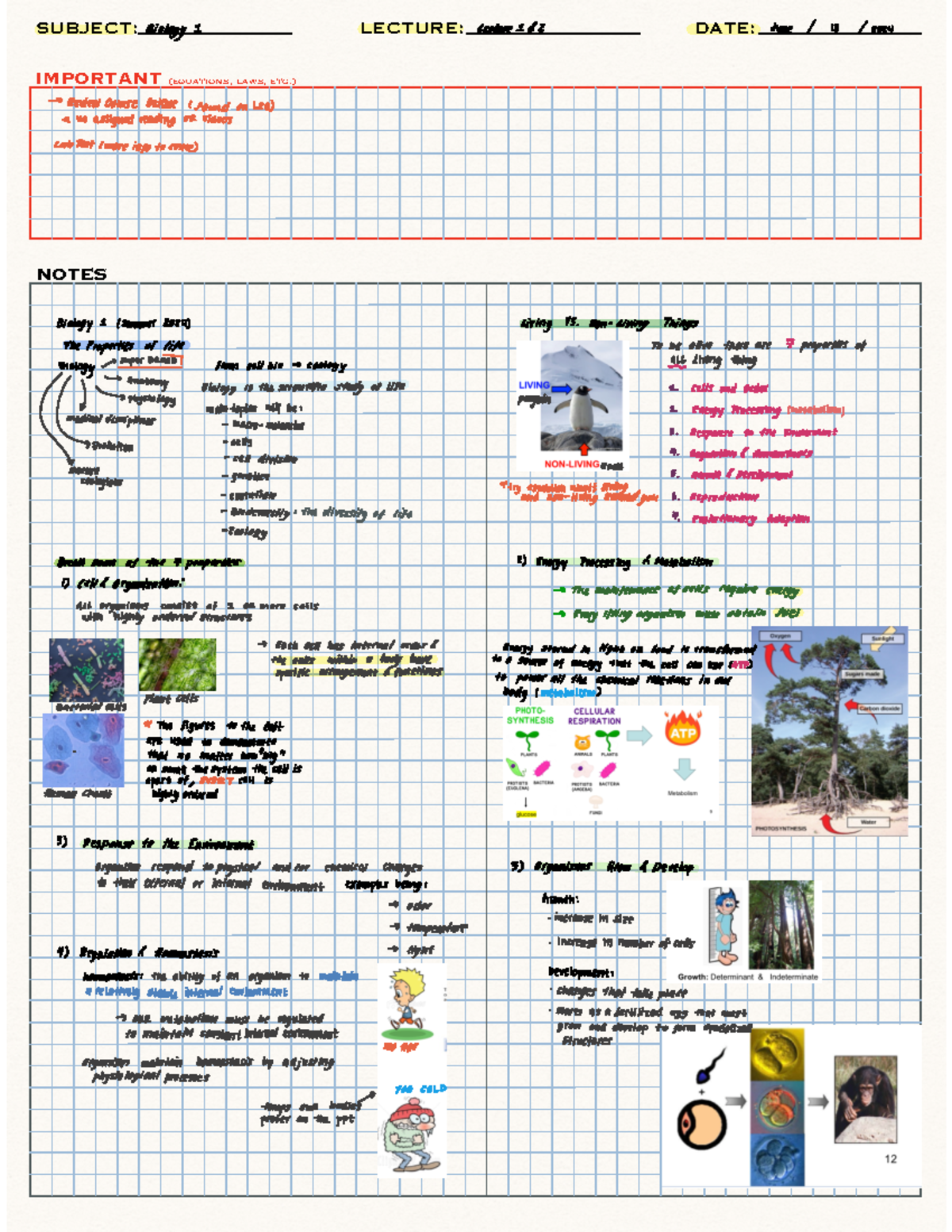 Test 1 notes - NOTES IMPORTANT (equations, laws, etc.) Biology 1 ...