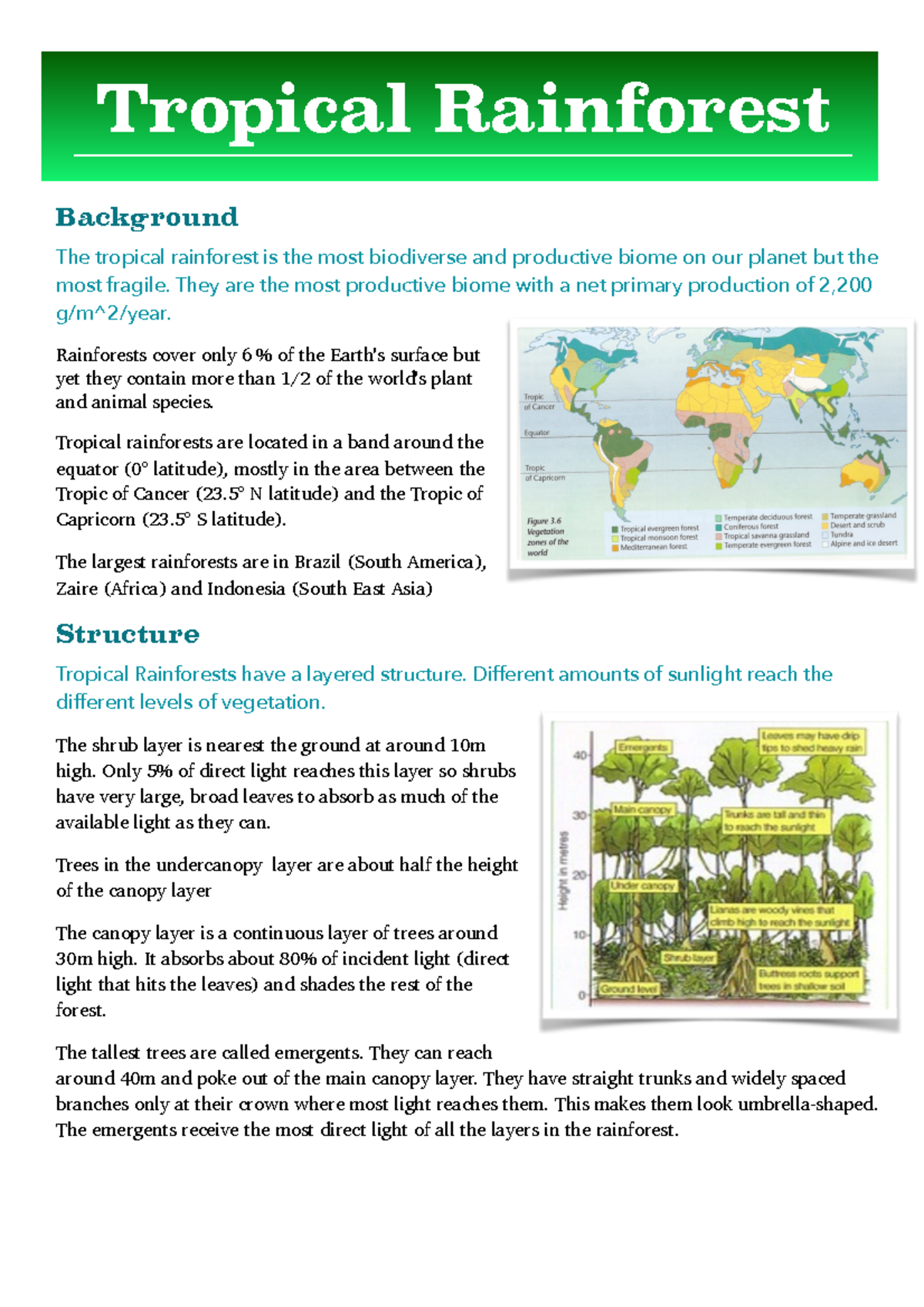 Revision Notes 6 - Tropical Rainforest - Background The tropical ...