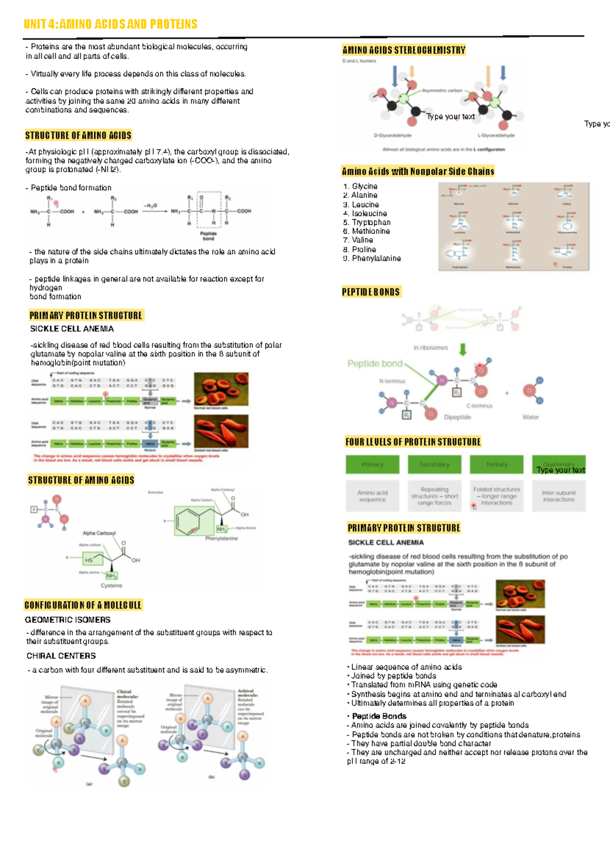 UNIT 4- Amino Acids AND Proteins - STRUCTURE OF AMINO ACIDS the nature ...