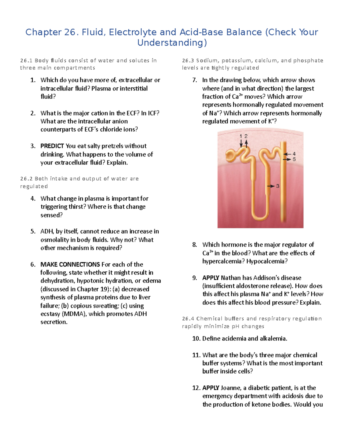 Chapter 26. (Check Your Understanding) - Chapter 26. Fluid, Electrolyte ...