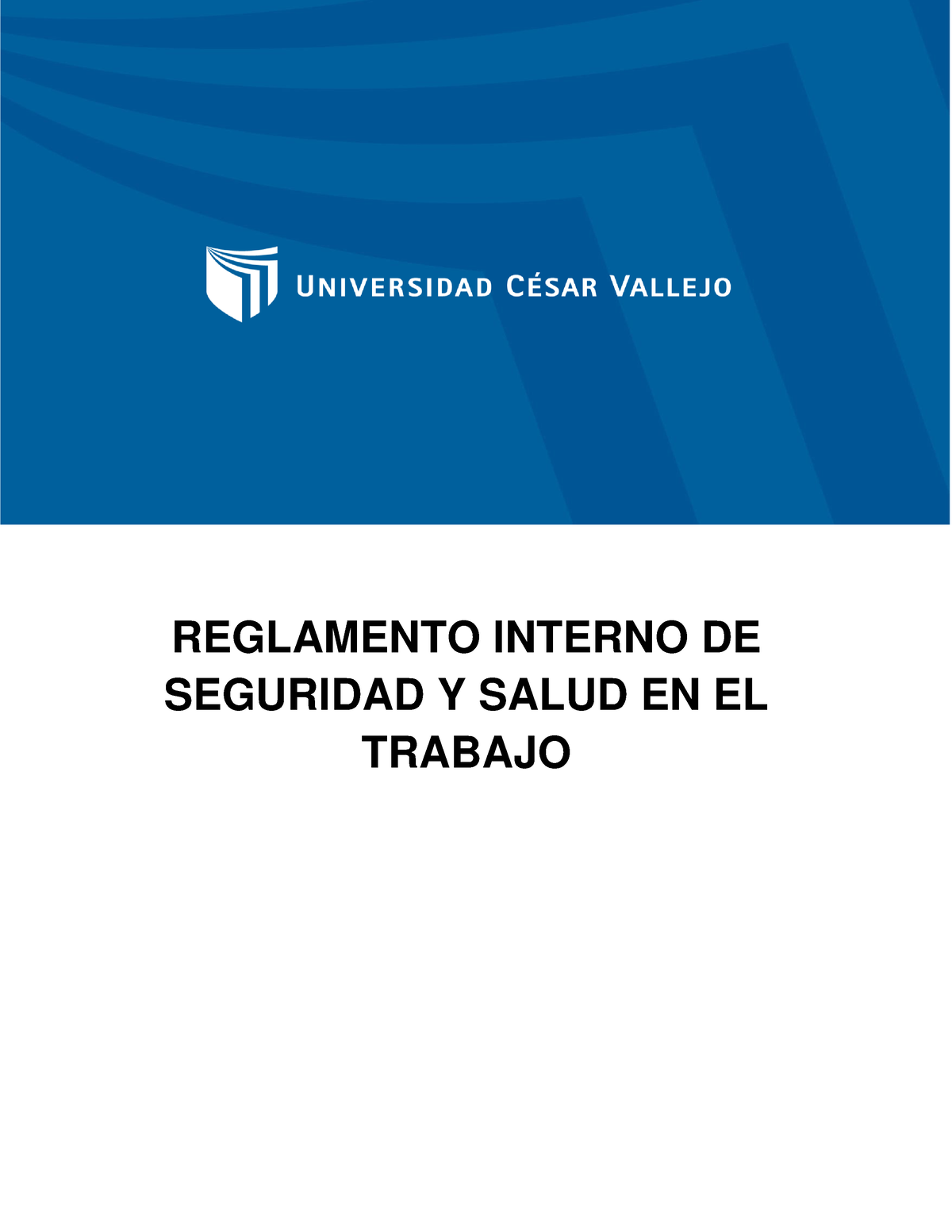 Reglamento Iinterno De Seguridad Y Salud - REGLAMENTO INTERNO DE ...