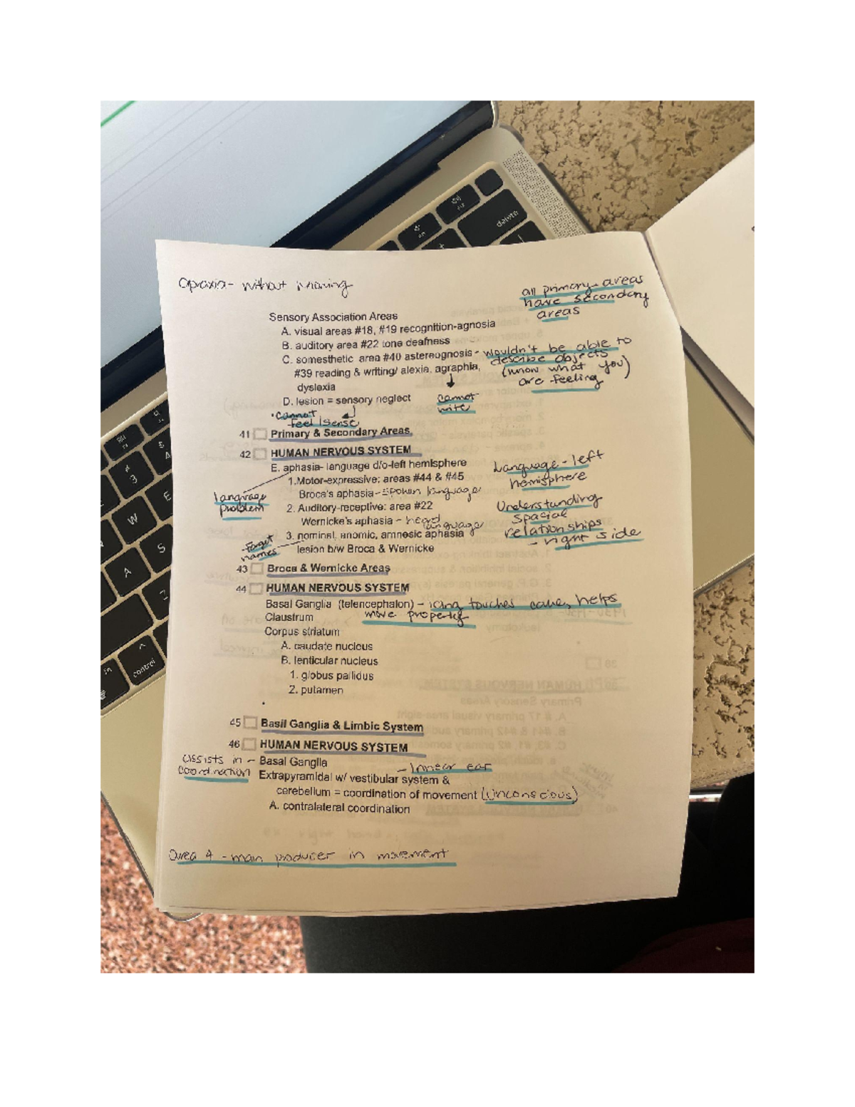 Untitled document - Structure and Function of the Human Nervous System ...
