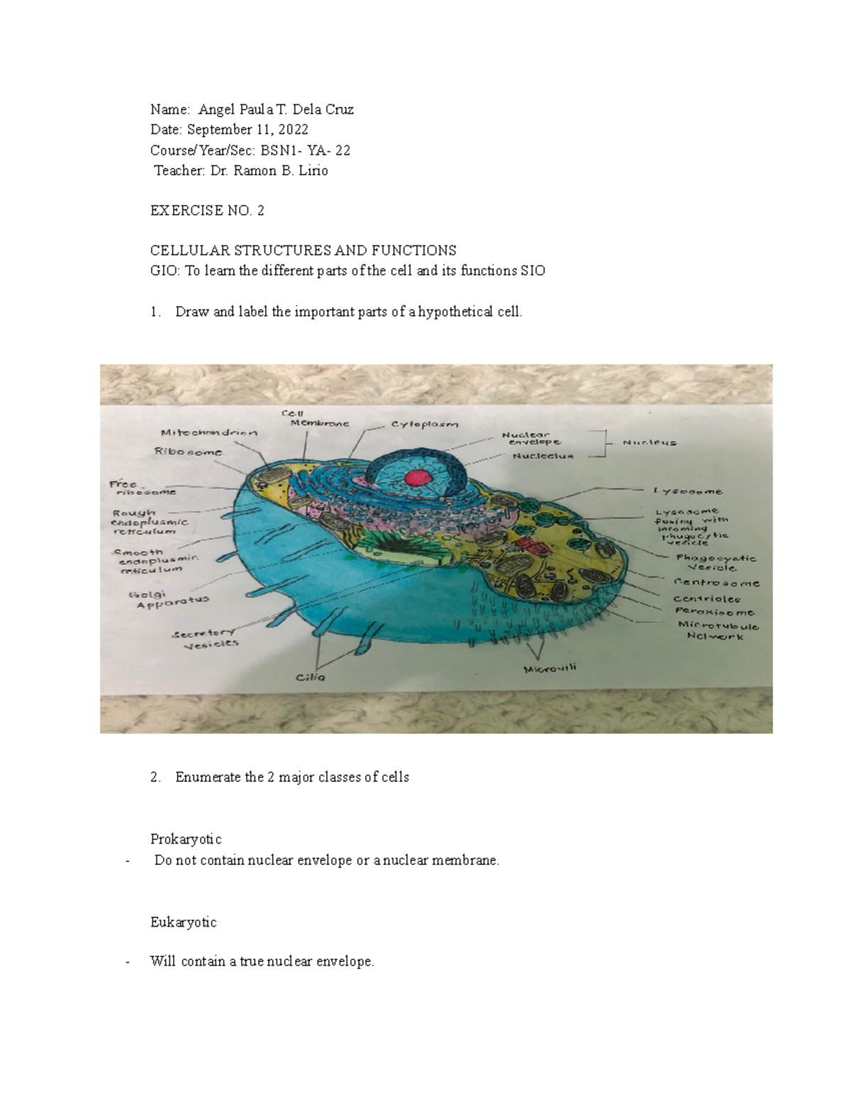 exercise-no-2-cell-structure-and-functions-name-angel-paula-t-dela