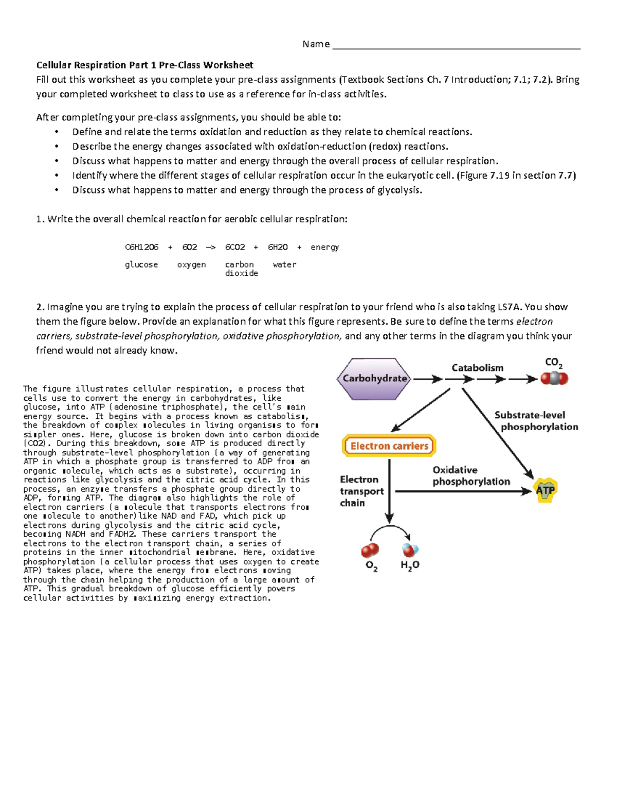 Week 3b Pre-Class Reading Guide - Cellular Respiration Part 1 - Name ...