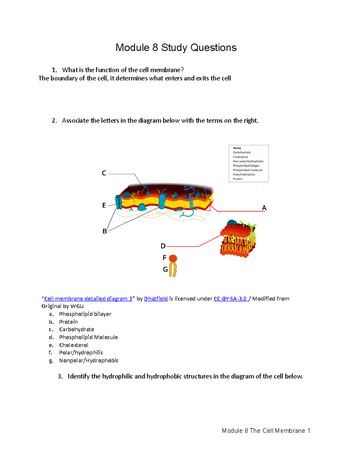 c190-module-7-what-is-a-cell-u3-m7-what-is-a-cell-2-types-of