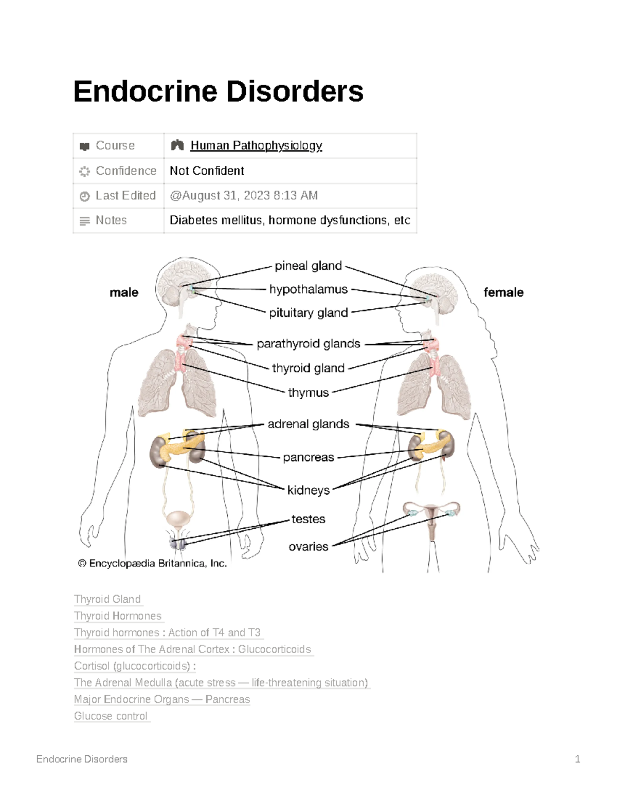 Endocrine Disorders - Endocrine Disorders Course Human Pathophysiology ...