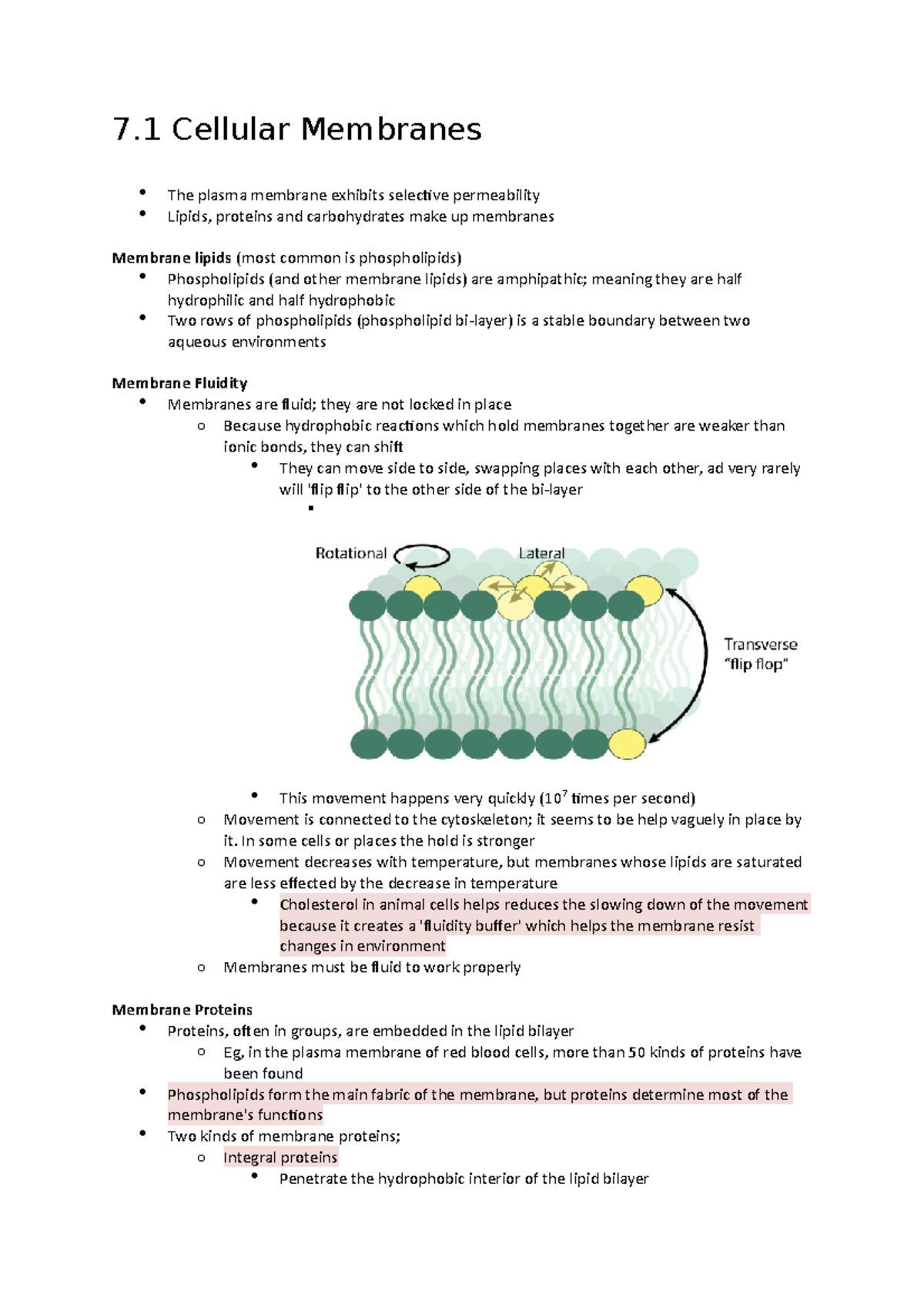 Week 6 Lecture/ Reading Notes - 7 Cellular Membranes The plasma ...