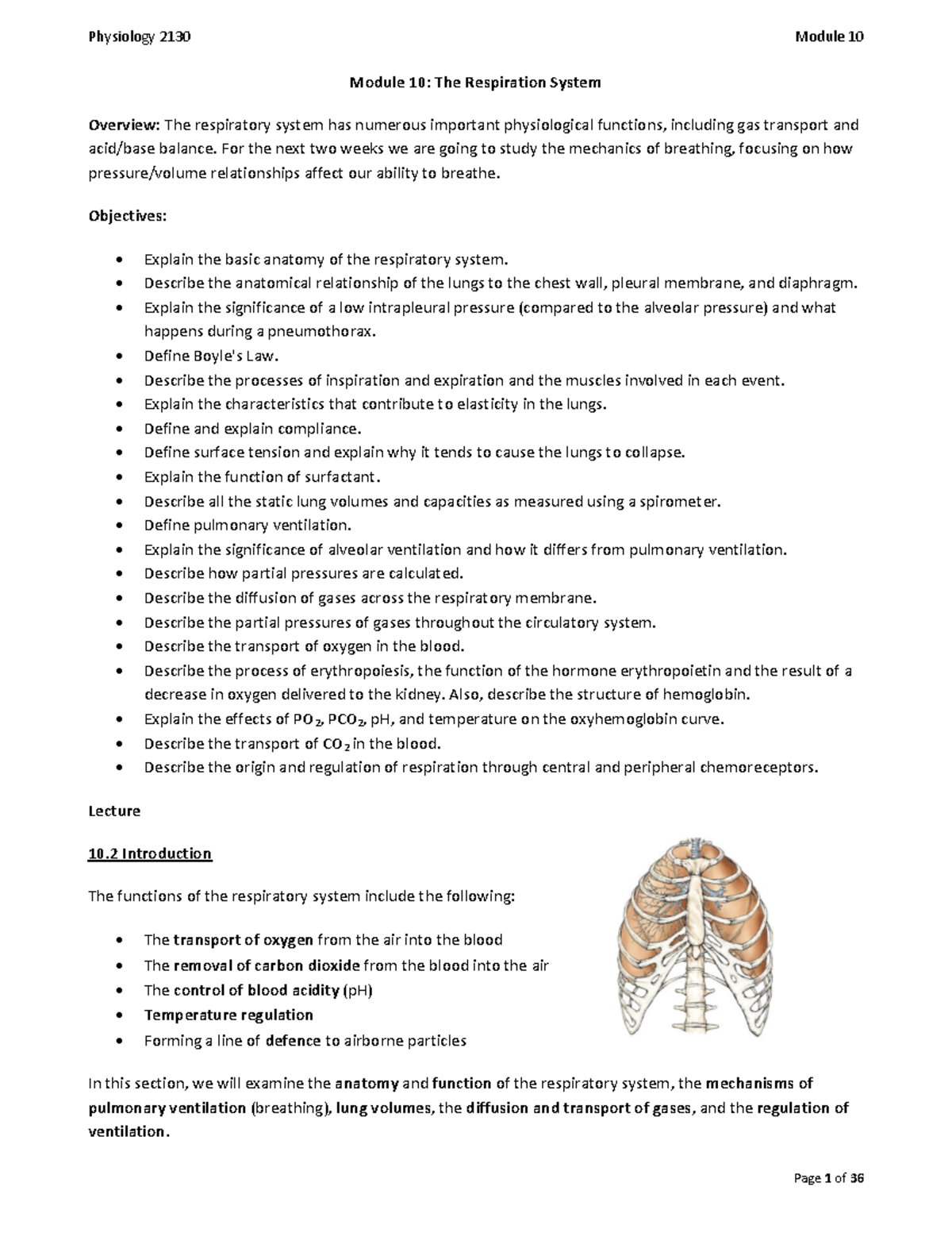 Physiology Module 10 - Lecture notes 10 - Module 10: The Respiration ...