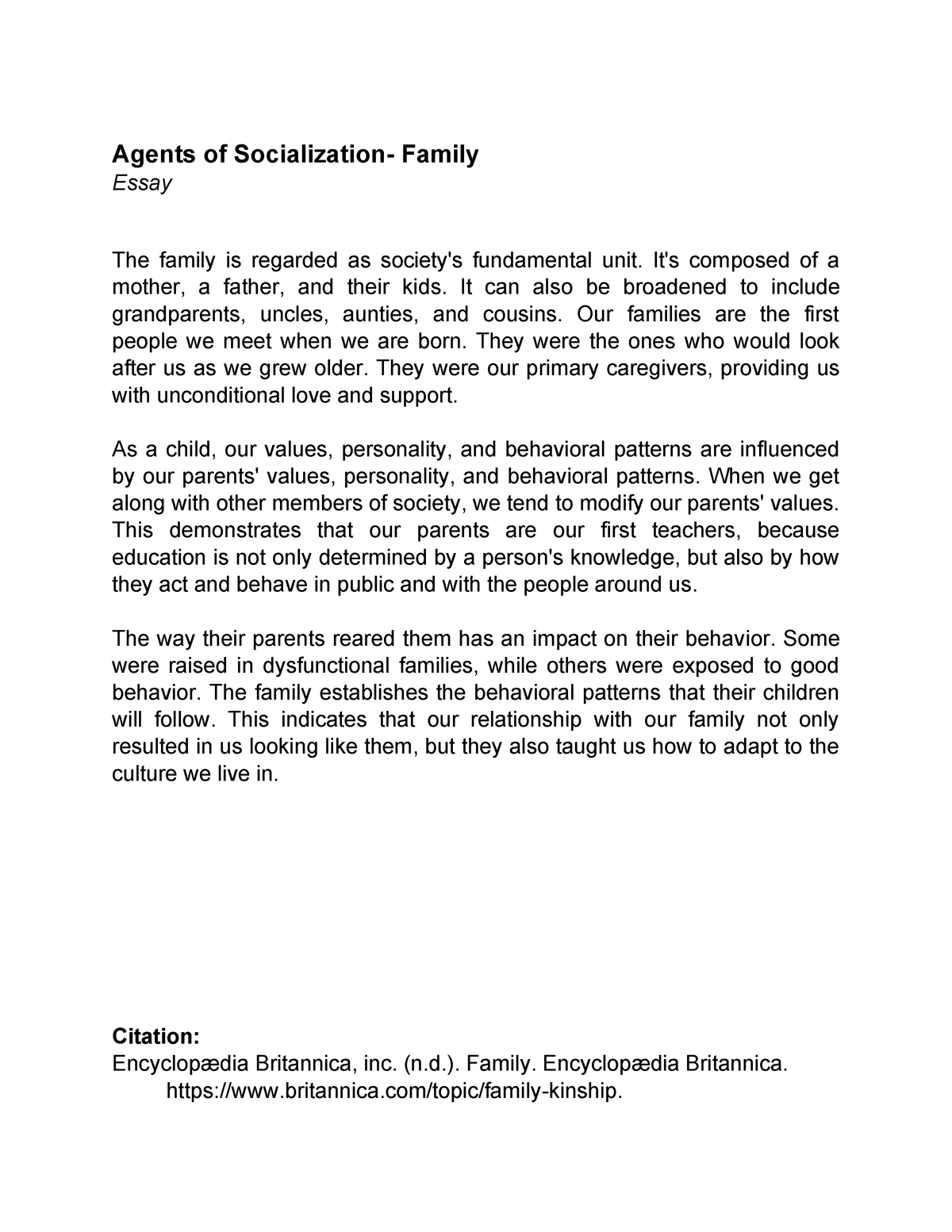essay on socialization in family