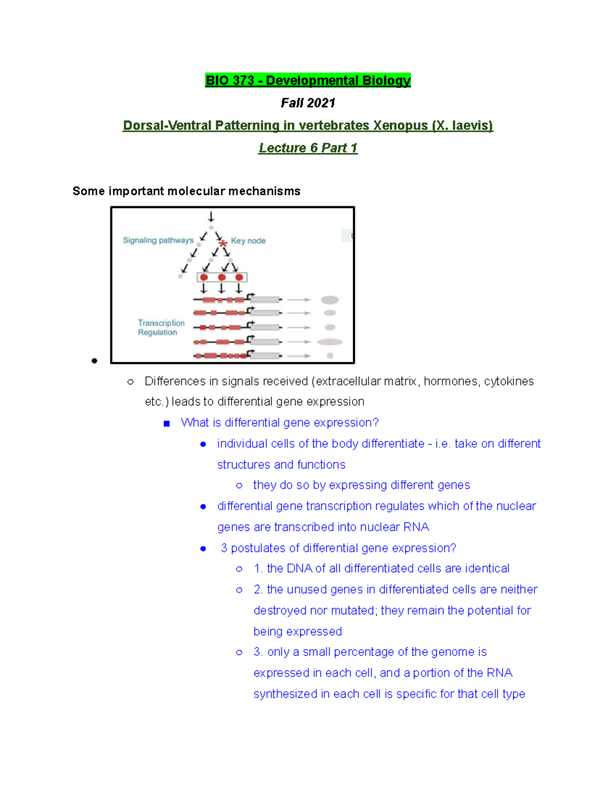 BIO 373 Lecture 6 Part 1 - Fall 2021 - BIO 373 - Studocu