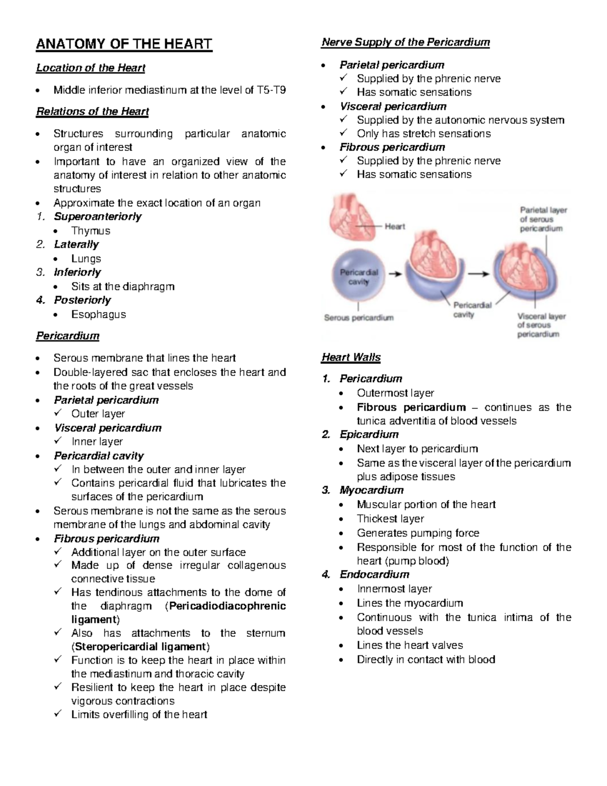 Anatomy Reviewer (Heart) - ANATOMY OF THE HEART Location of the Heart ...