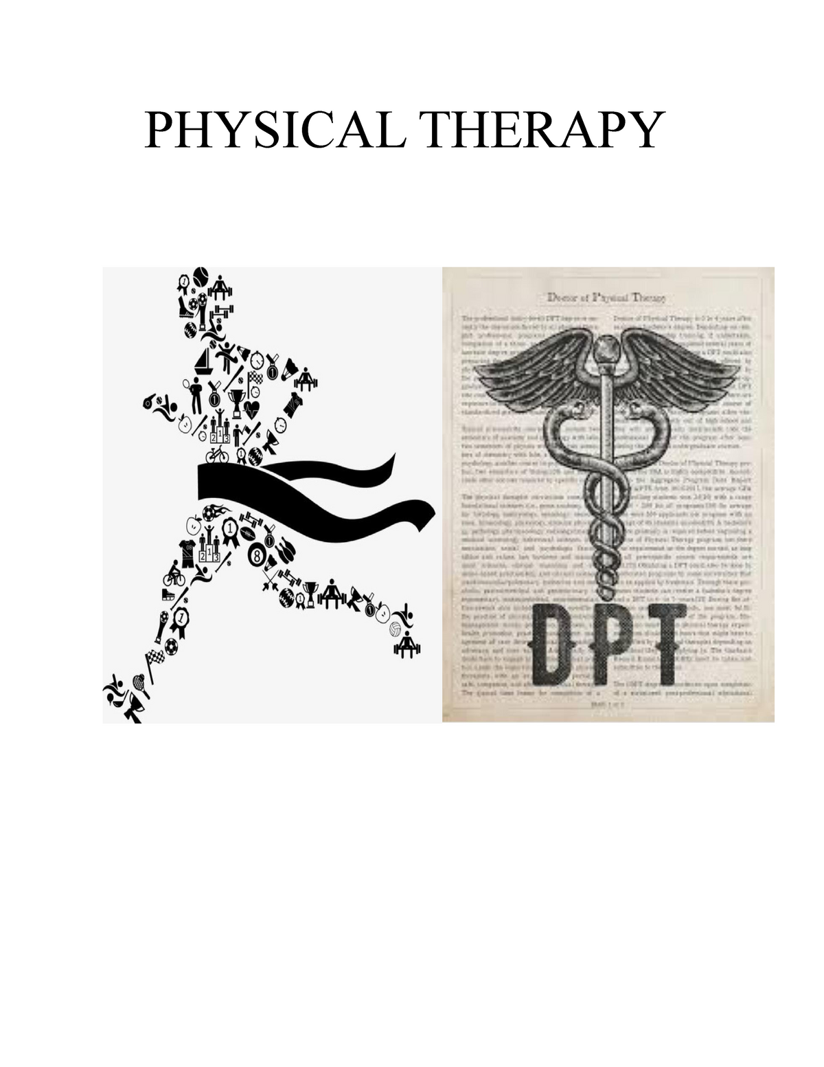 what is physical therapy essay