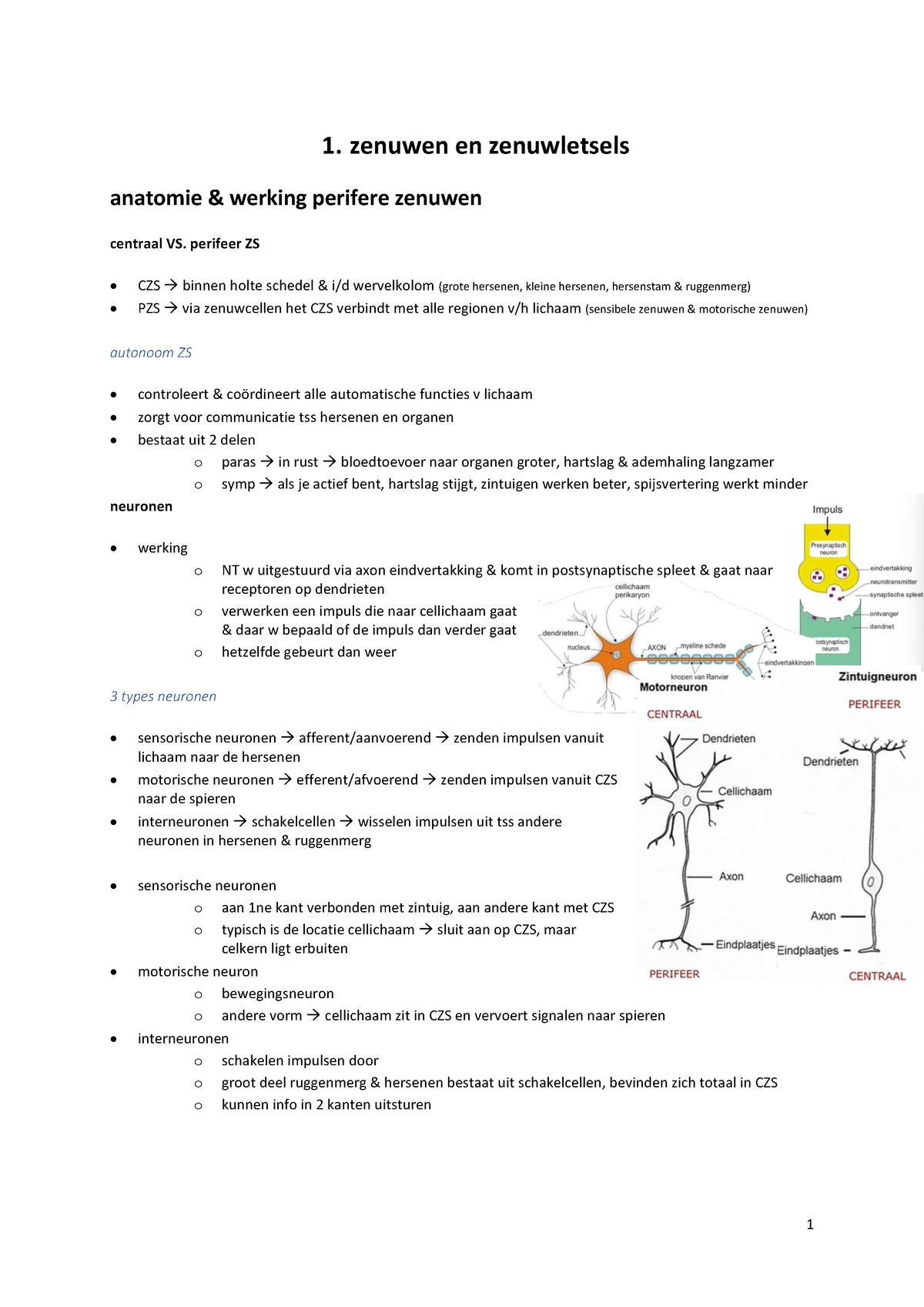 HOC Neurologie - 1. Zenuwen En Zenuwletsels Anatomie & Werking Perifere ...