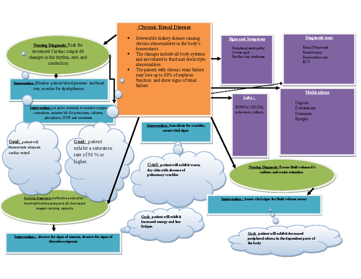 Concept Map Nur Studocu