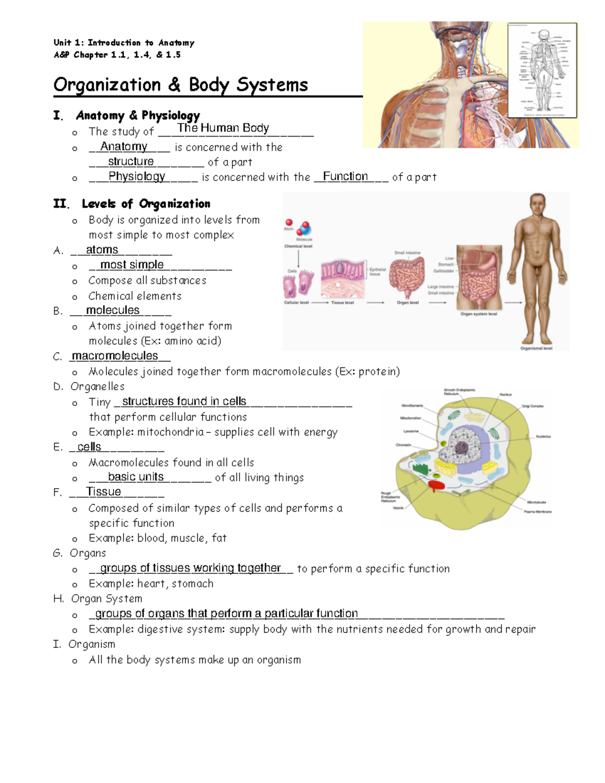 Unit 1 Intro To Anatomy Student Notetaking Guide 1 - A&P Chapter 1, 1 ...