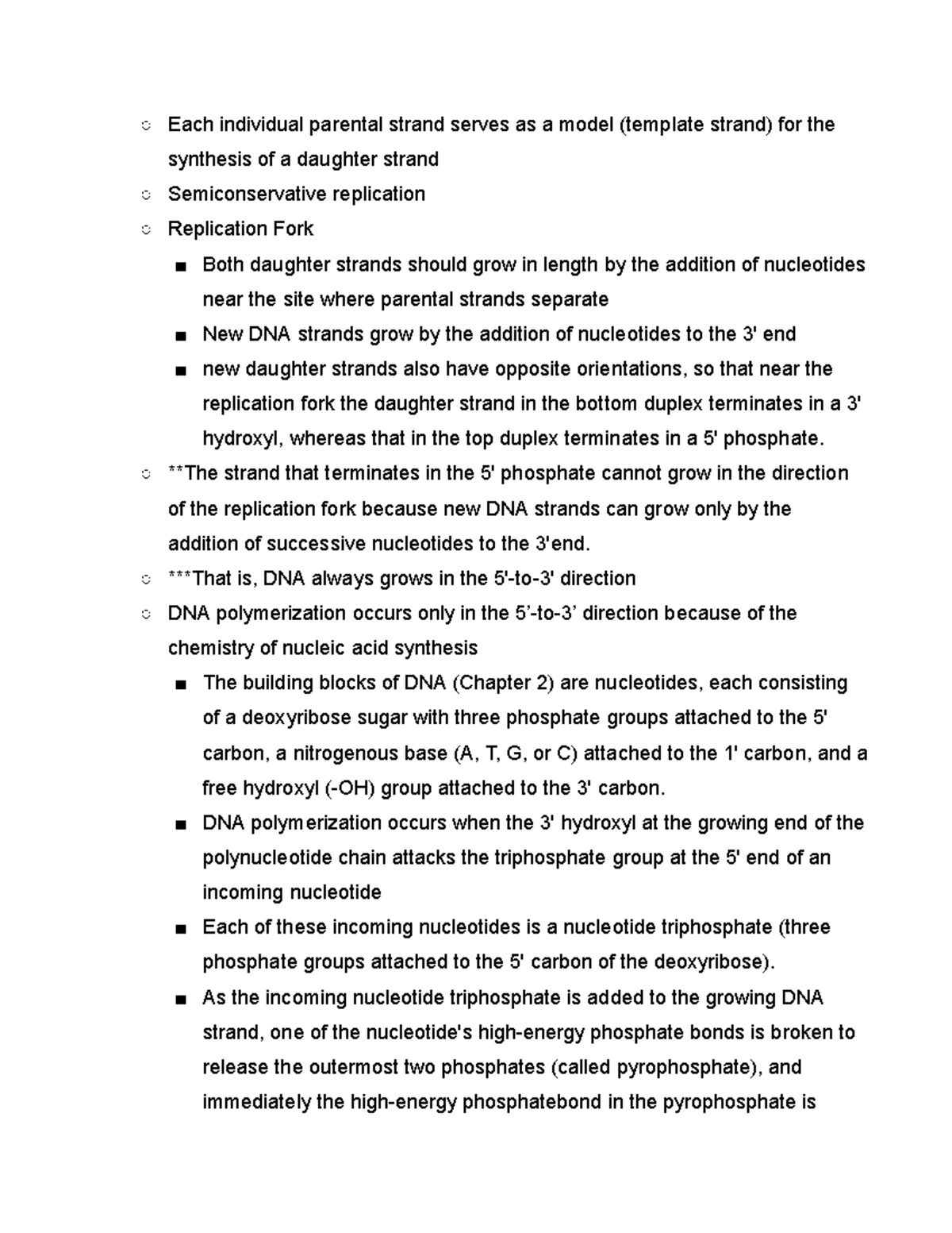 RNA Primer and Primase Studocu