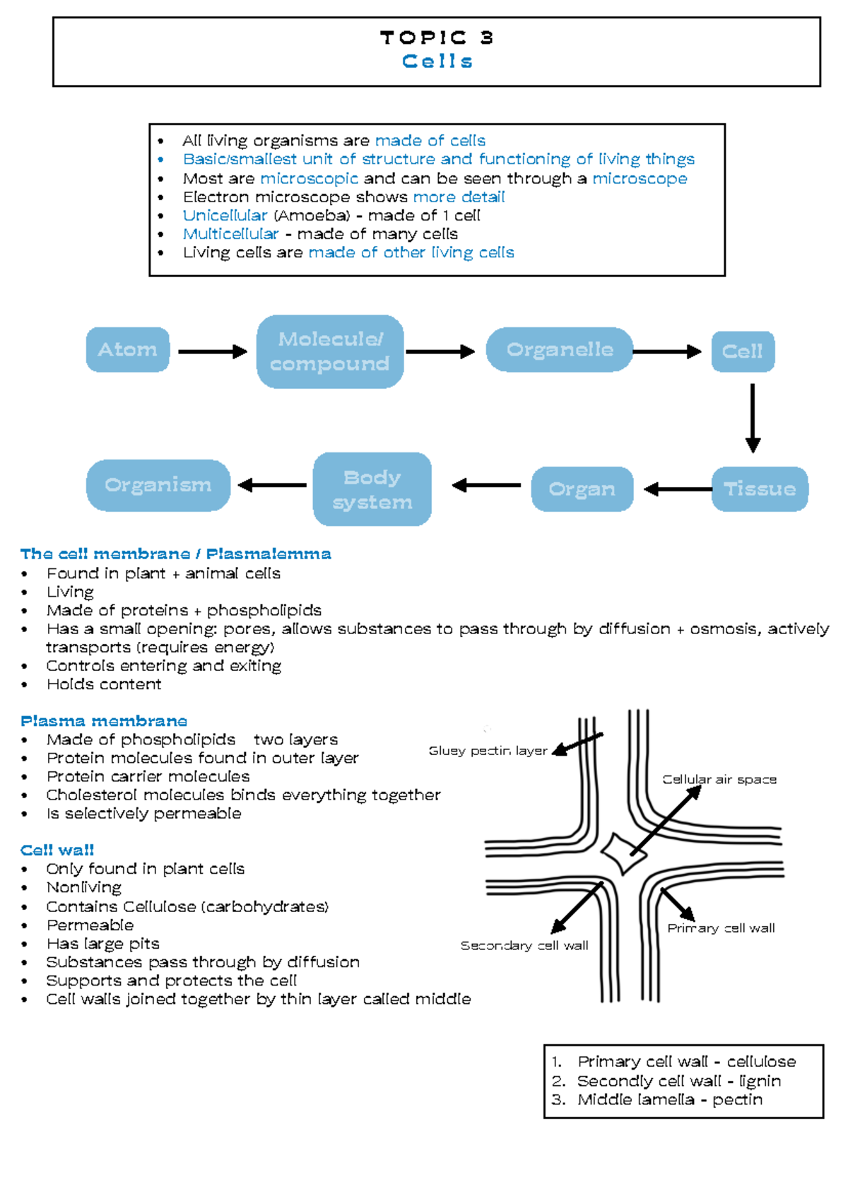 The cell - Summary Molecular and cell biology - The cell membrane ...