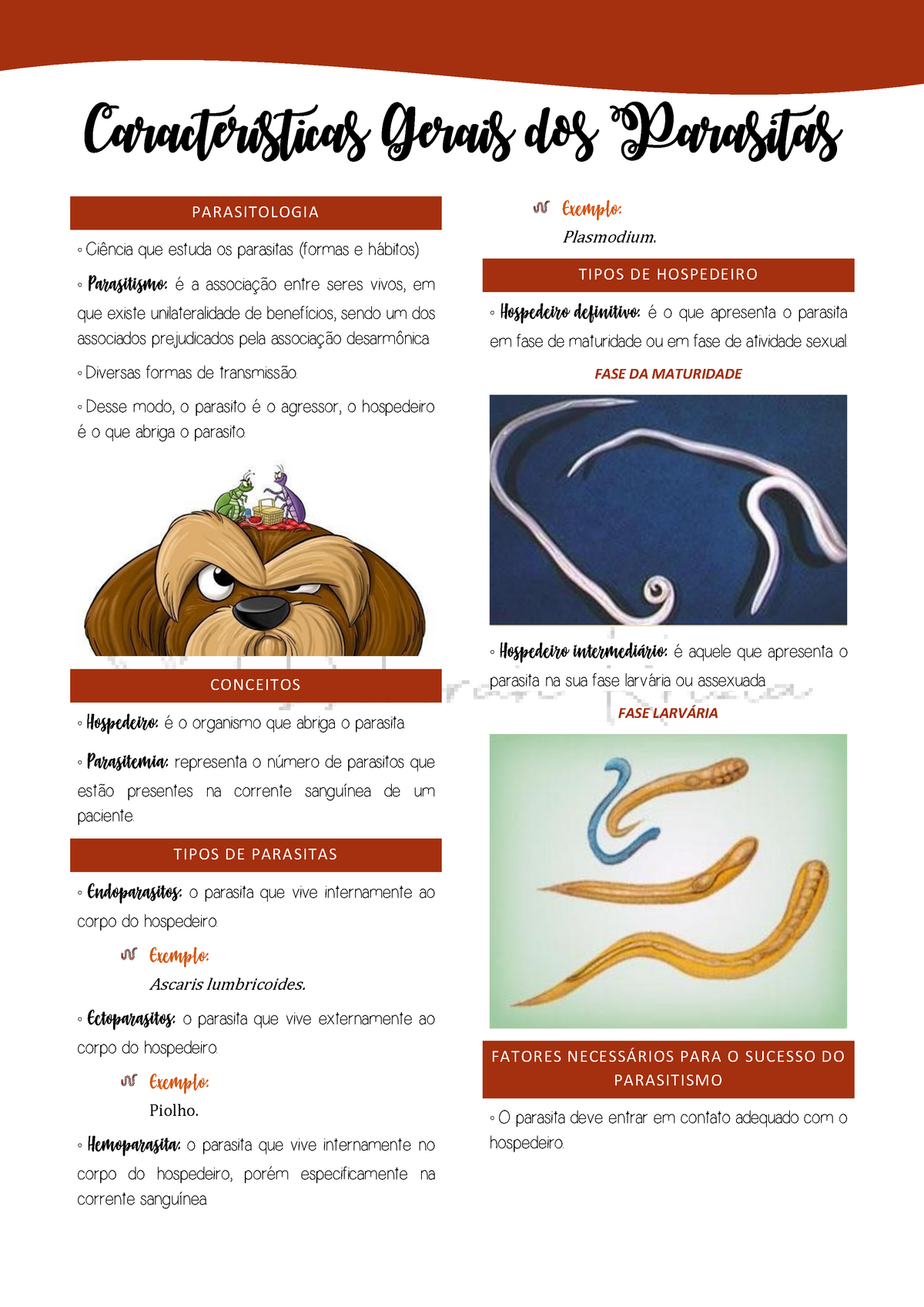 Características Gerais dos Parasitas Parasitismo é a associação entre seres vivos em que