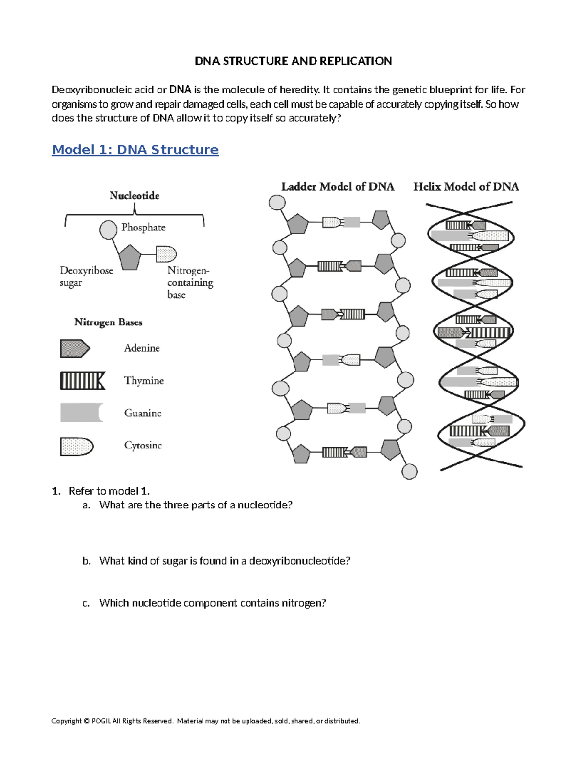 BIO181 DNA Replication Worksheet - Tagged - DNA STRUCTURE AND ...