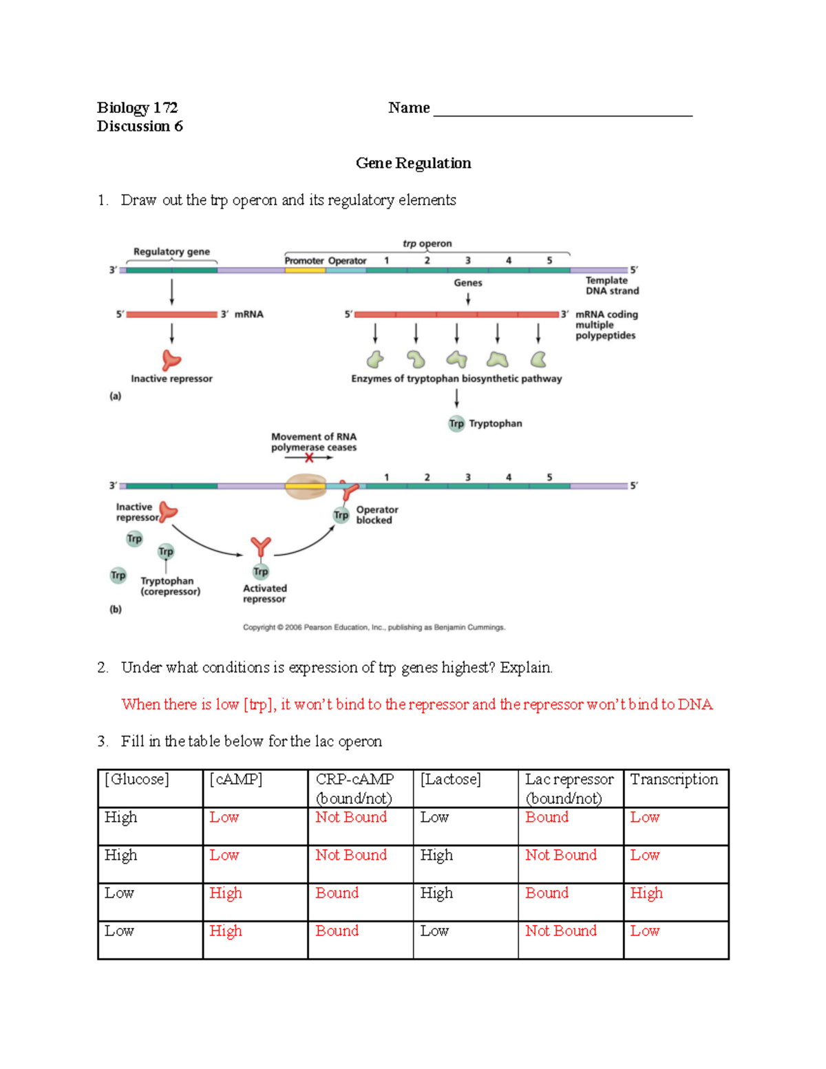 D6 Su23 Gene Reg Answers Biology 172 Name