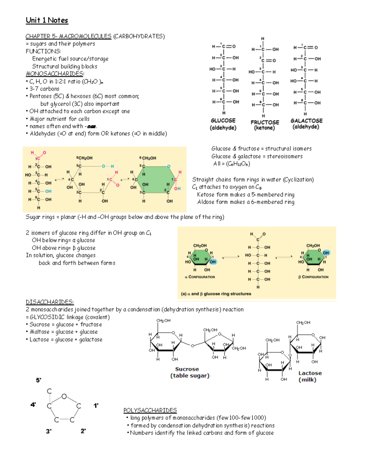 Macromolecules Notes - Unit 1 Notes CHAPTER 5- MACROMOLECULES ...