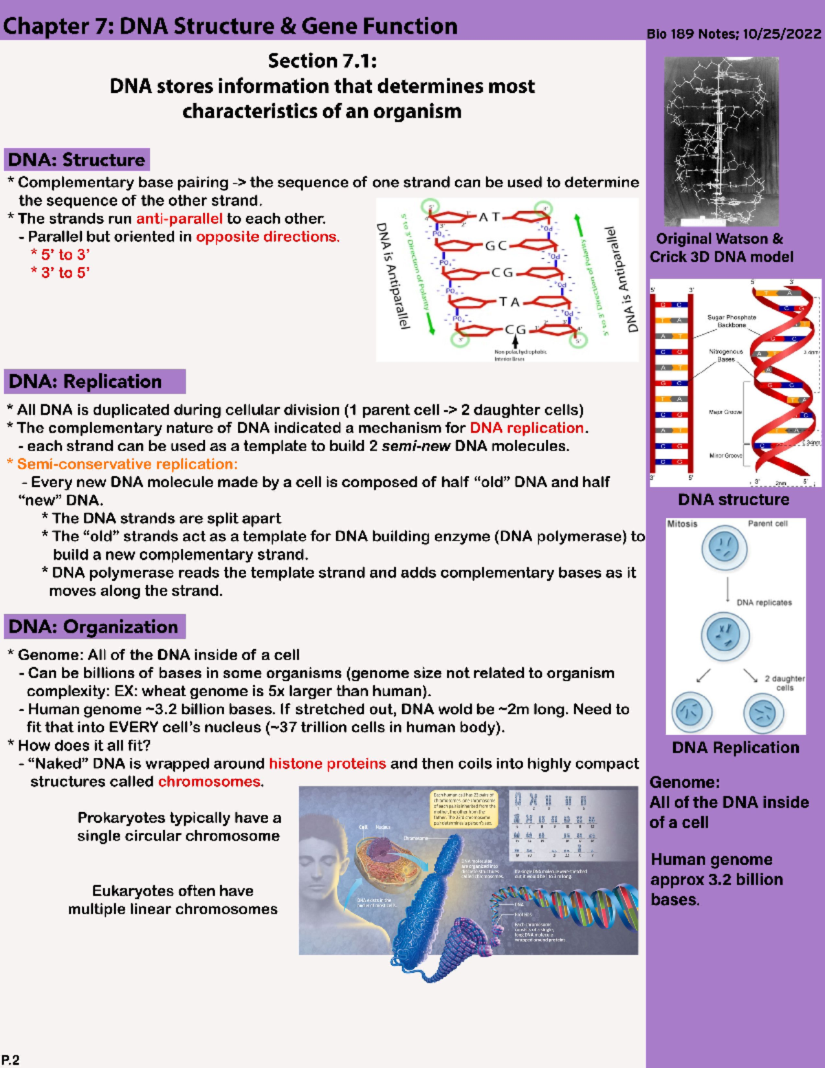 Chapter 7 Section 1 DNA stores information that determines most characteristics of an organism