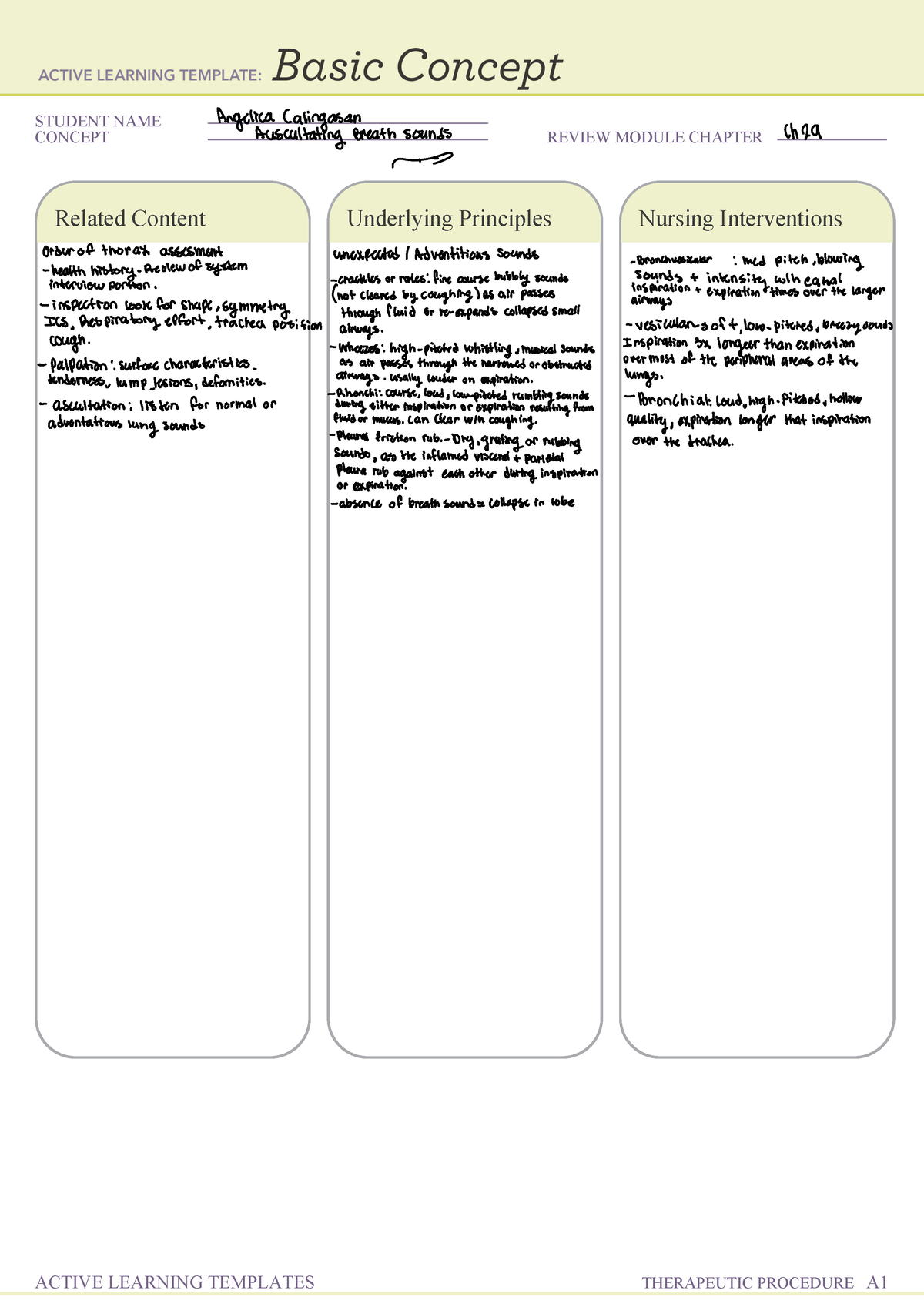 At I Remediation 3 - STUDENT NAME CONCEPT REVIEW MODULE CHAPTER Related ...