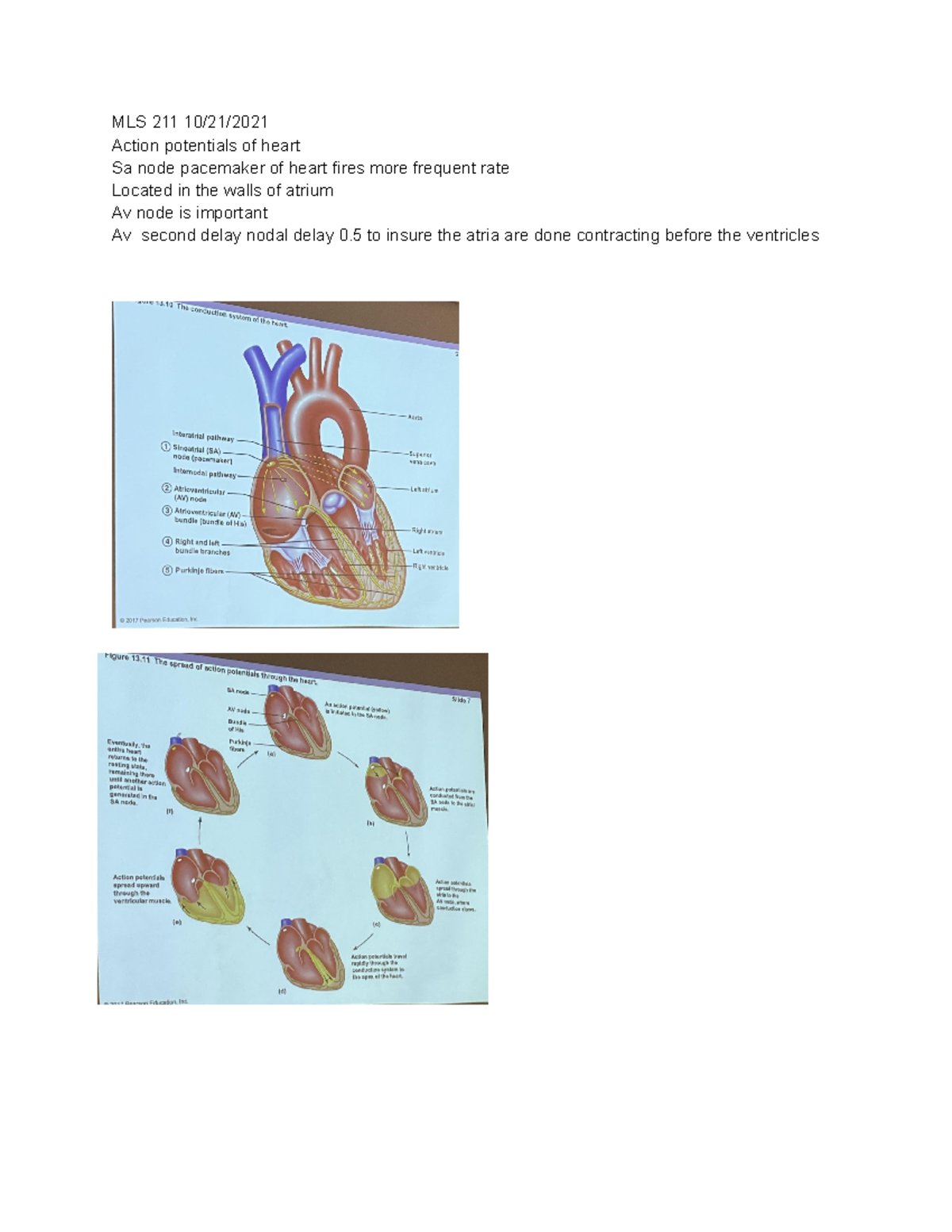 MLS 211 10 21 2021 MLS notes and explanations MLS 211 10/21/ Action