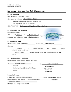 Chapter+3+-+Practice+exercises-+Answer Key copy - Drugs, Society ...