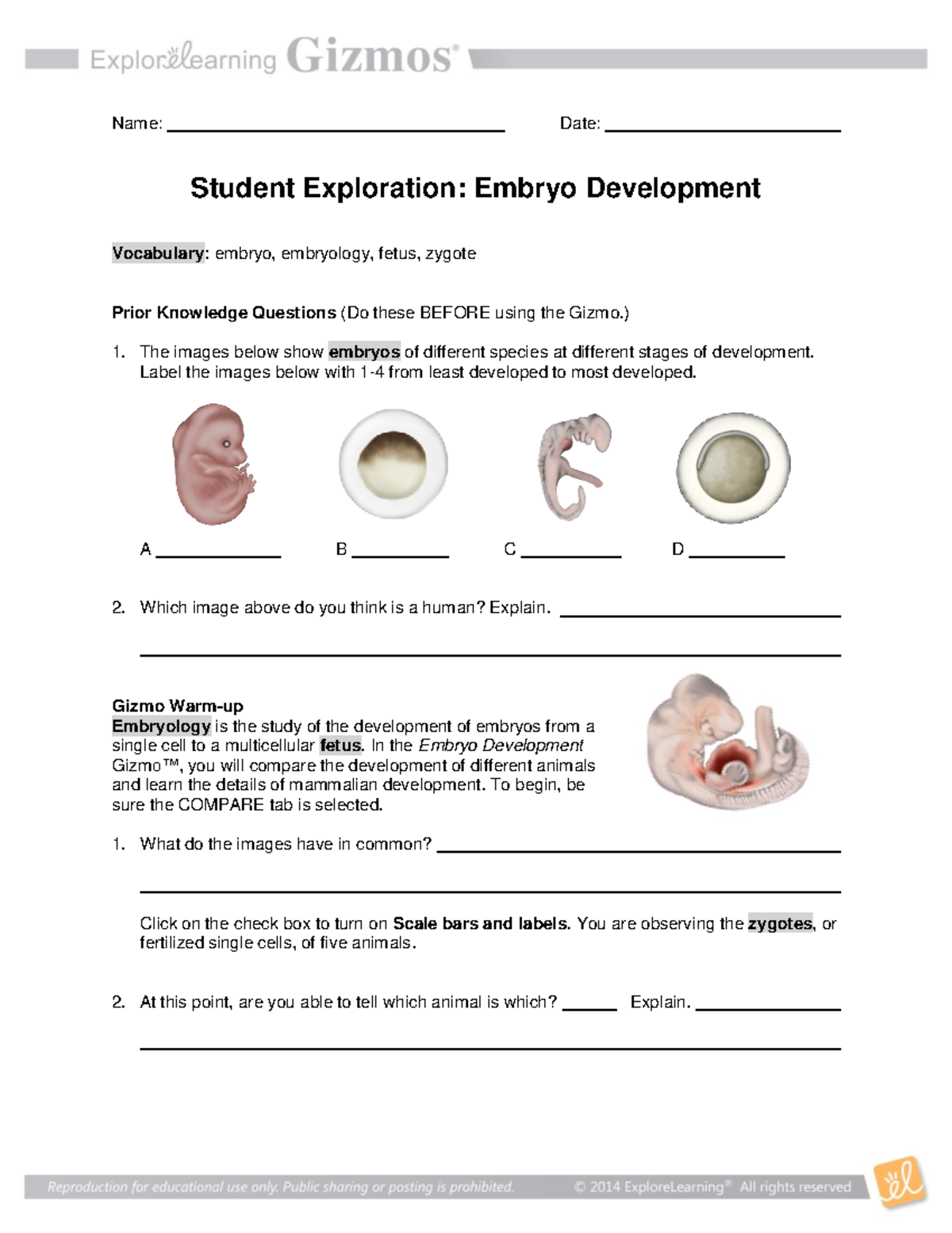 El embryodevelopment bm 1 Name Date Student Exploration Embryo