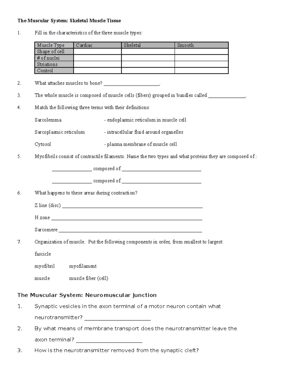 IP+muscular+system+worksheet edit - The Muscular System: Skeletal ...