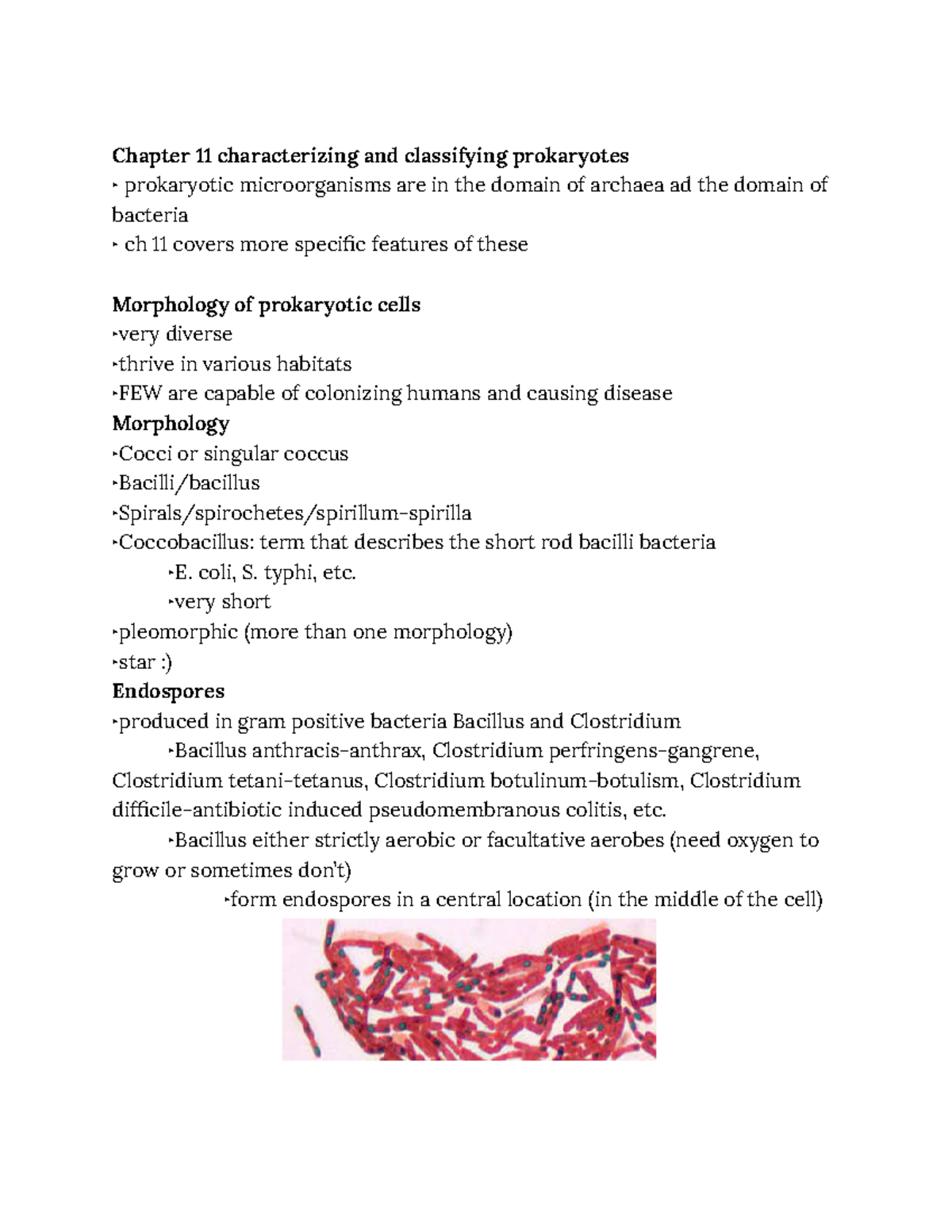 Ch. 11 Charactertizing And Classifying Prokaryotes - Google Docs ...