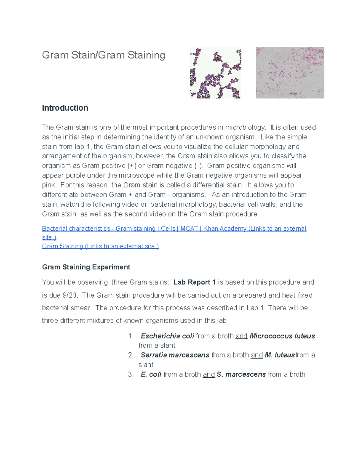 Lab 2 Gram Stain Explore o universo das apostas com a cotação da bovespa