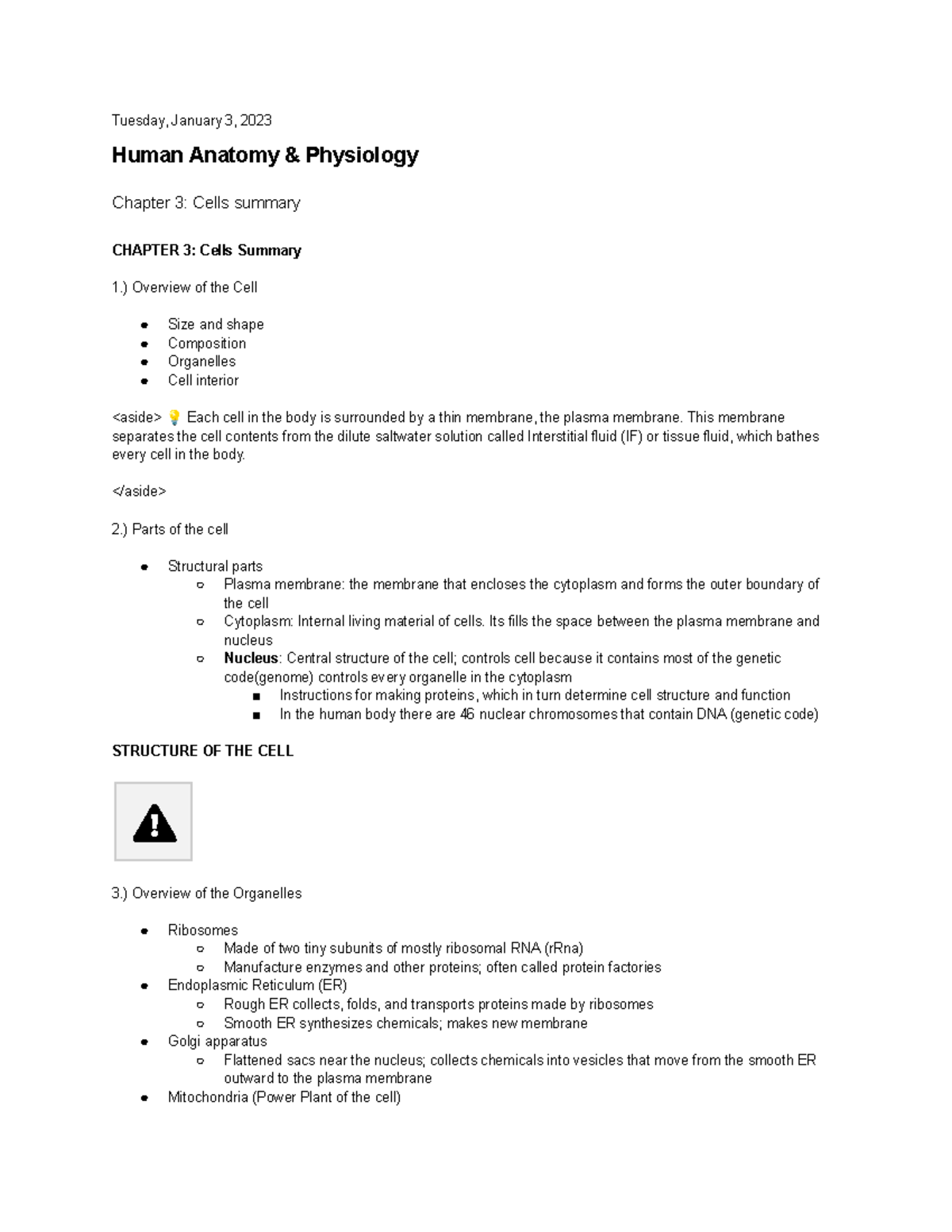 Human Anatomy Notes- Studocu - Tuesday, January 3, 2023 Human Anatomy ...