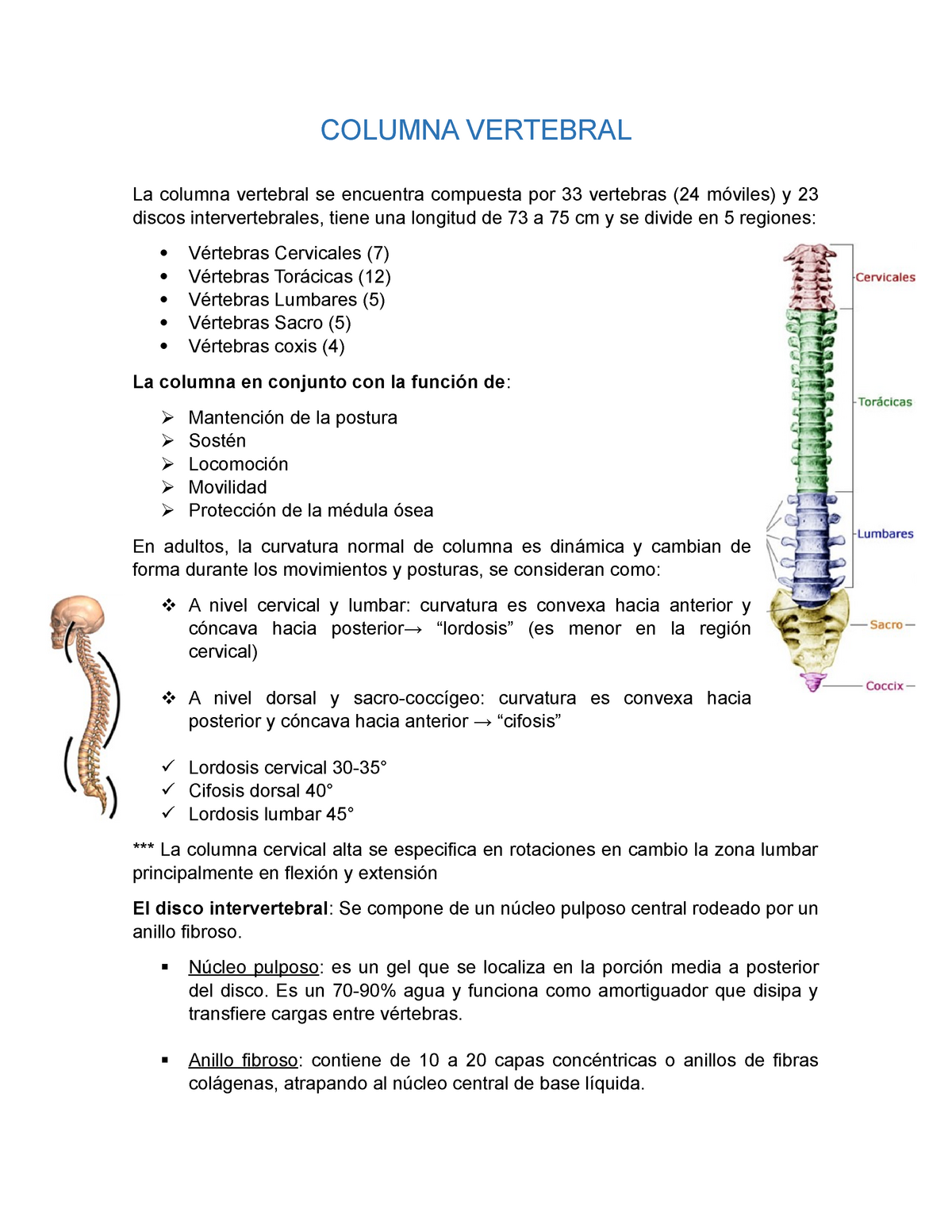 flexión y extensión de la columna