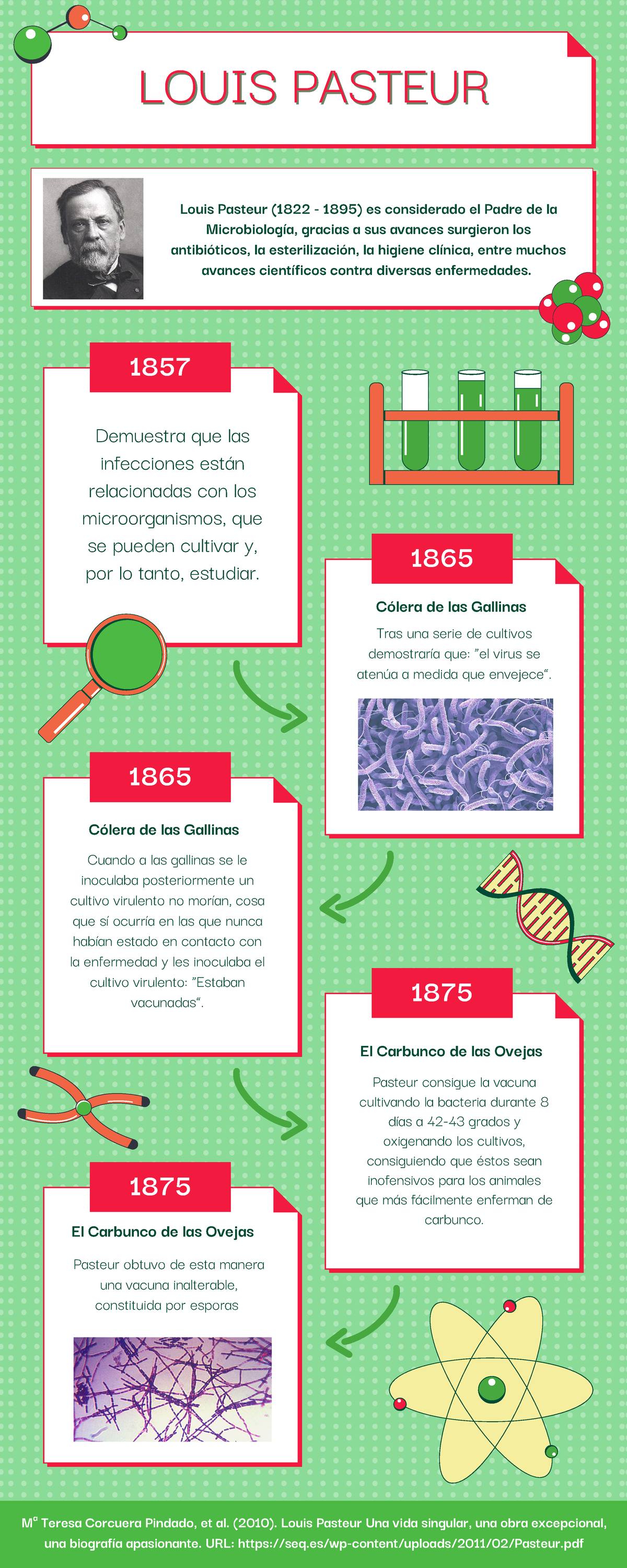 esterilización louis pasteur