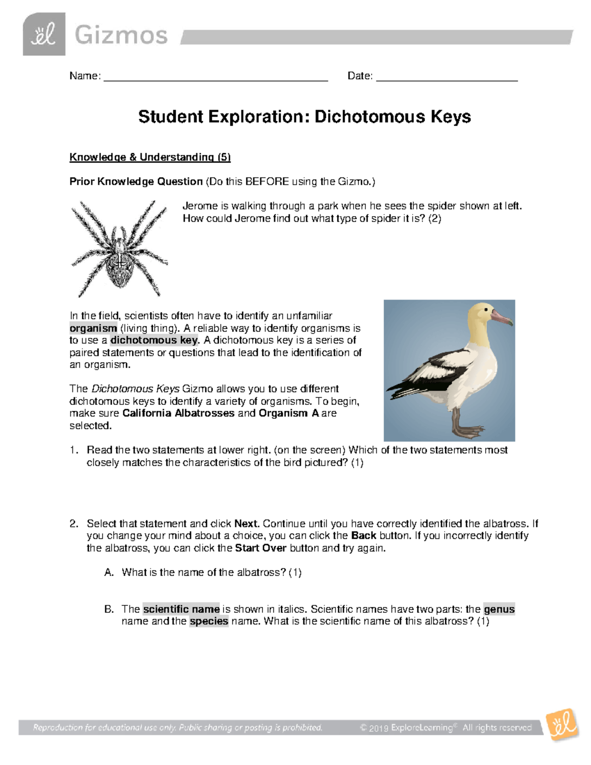 Dichotomous Keys Gizmo - Name ...