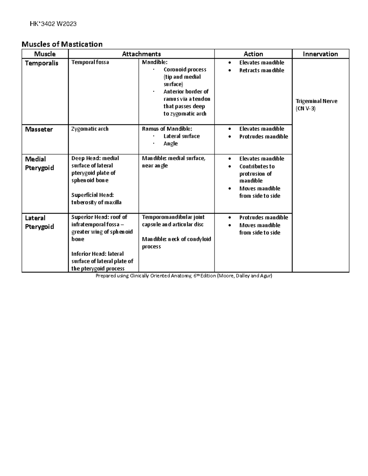 Muscles Mastication 2023 - HK*3502_Winter 2022 Muscles of Mastication ...