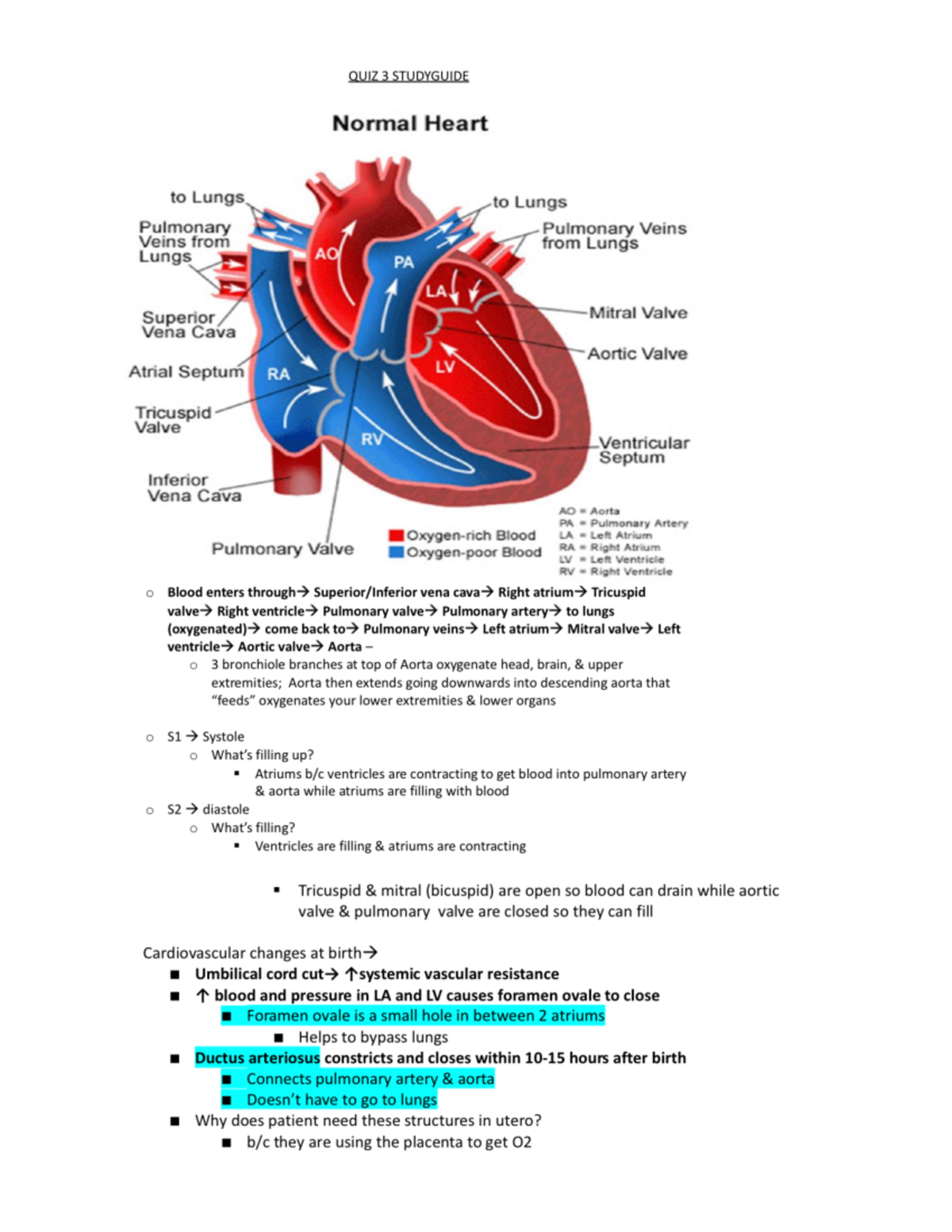 Cardiac Lecture Notes - NURS307 - Studocu